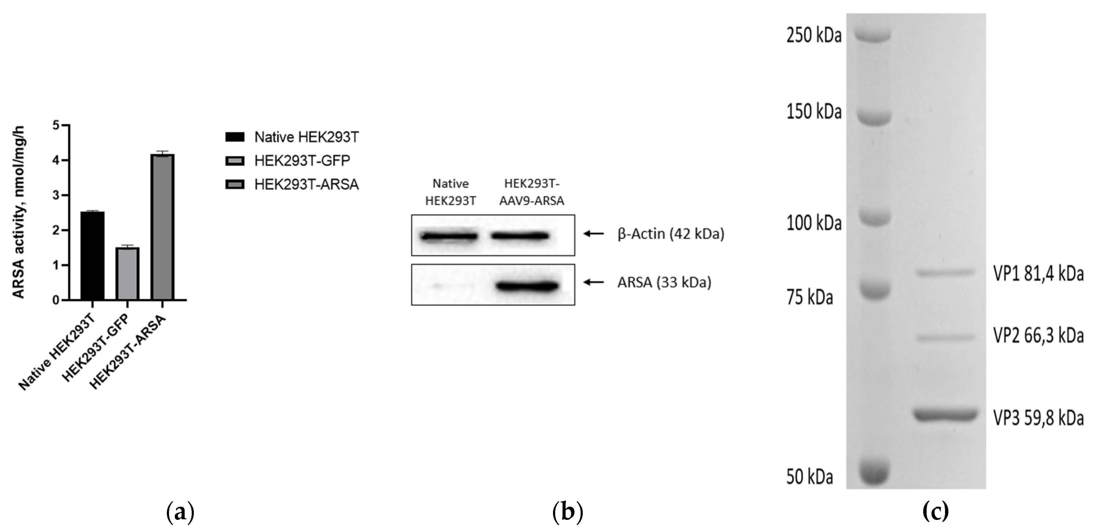 Preprints 71294 g003