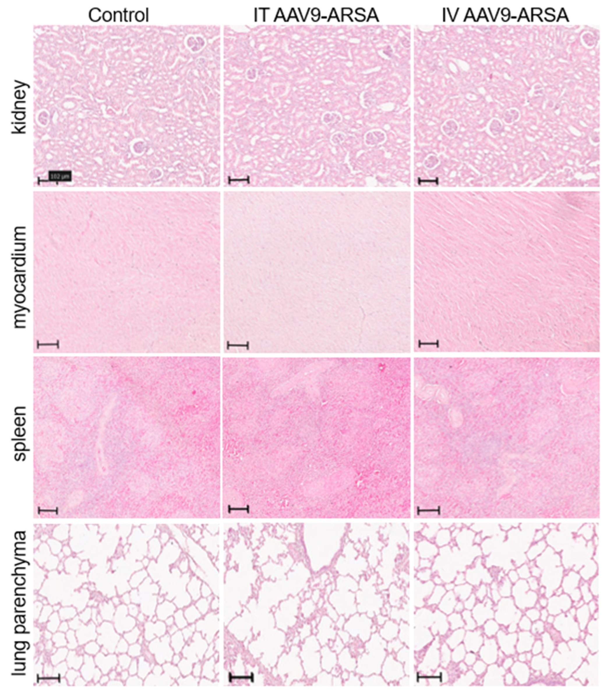 Preprints 71294 g009