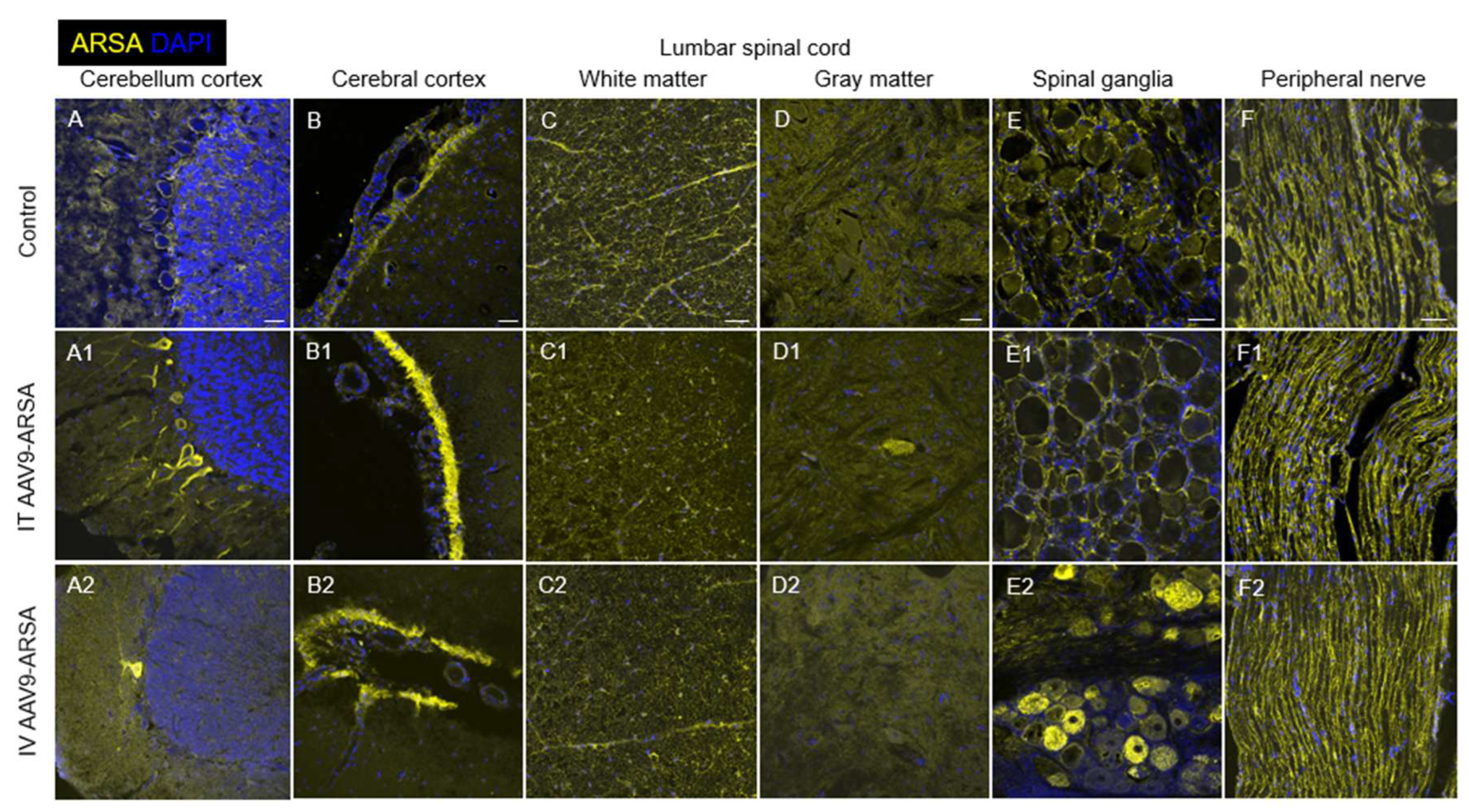 Preprints 71294 g010