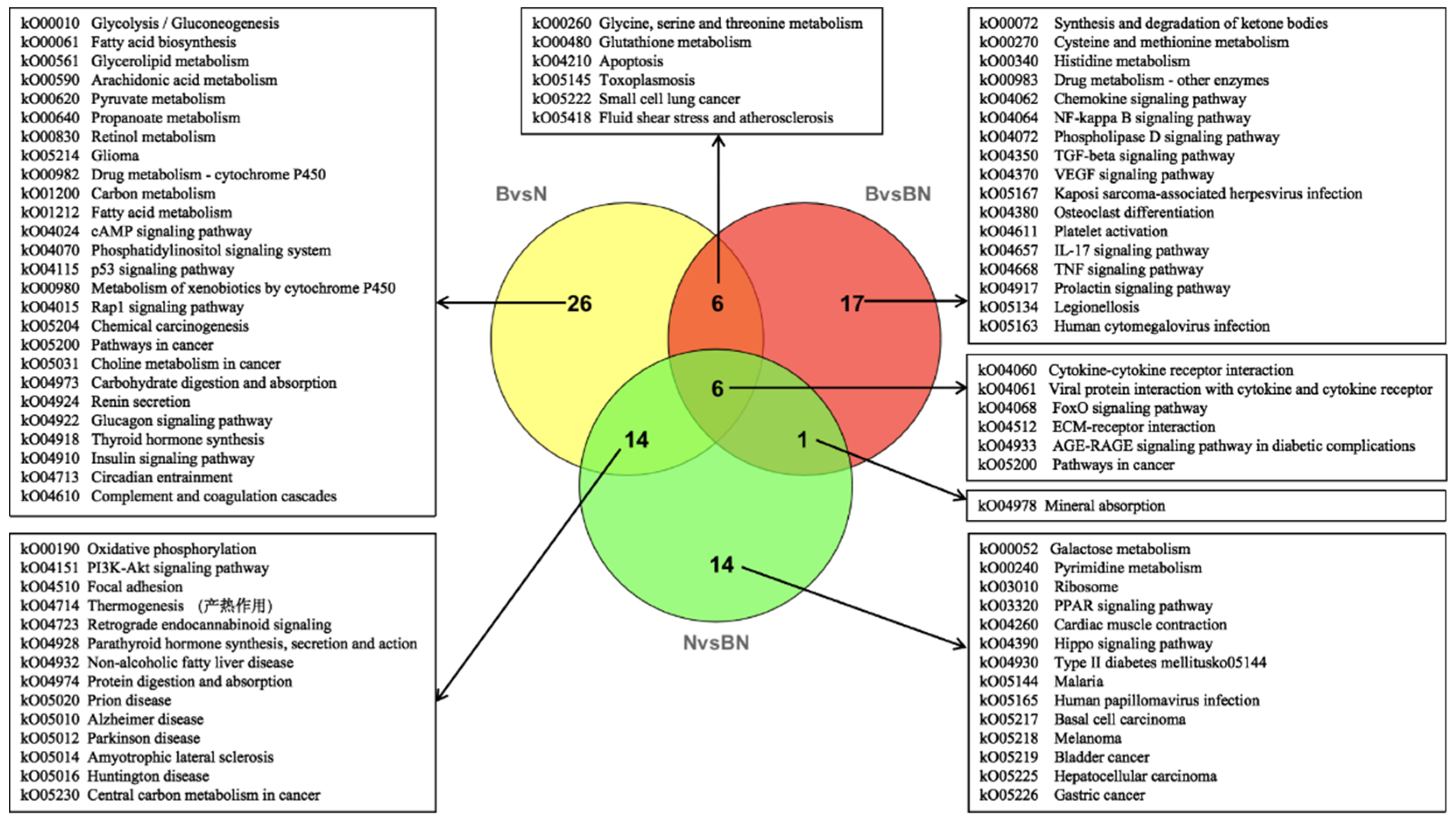 Preprints 74406 g006