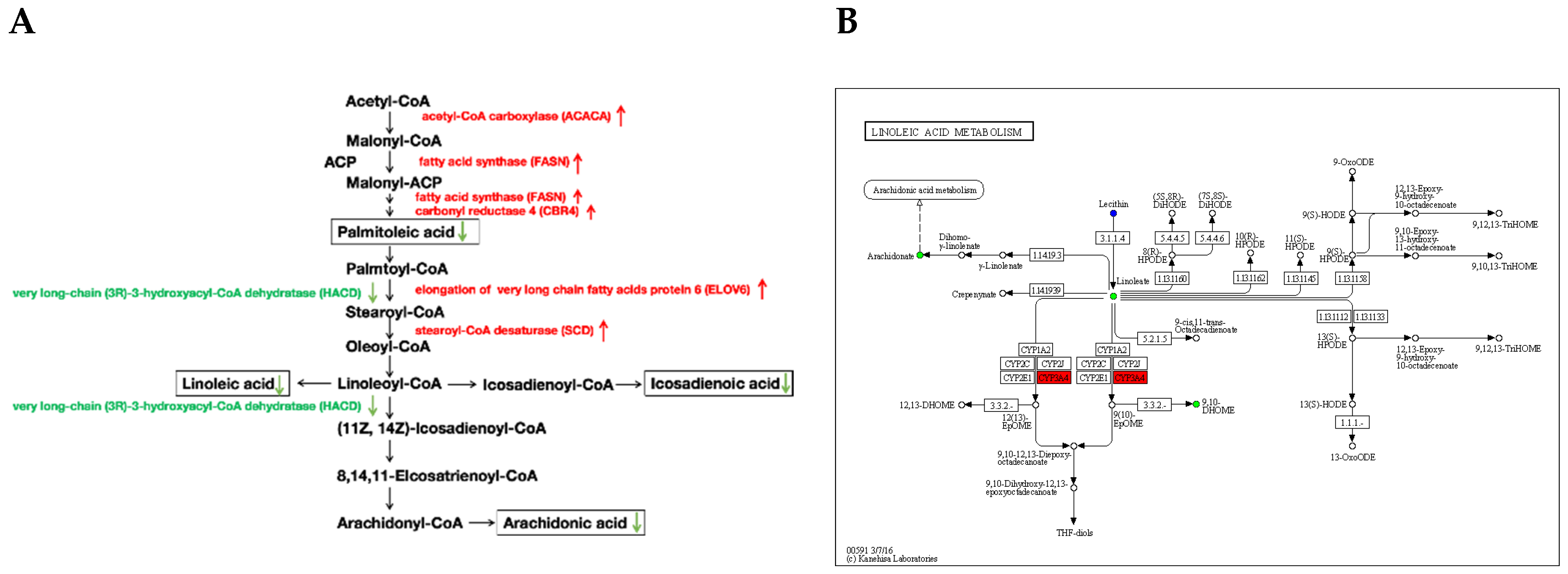 Preprints 74406 g011