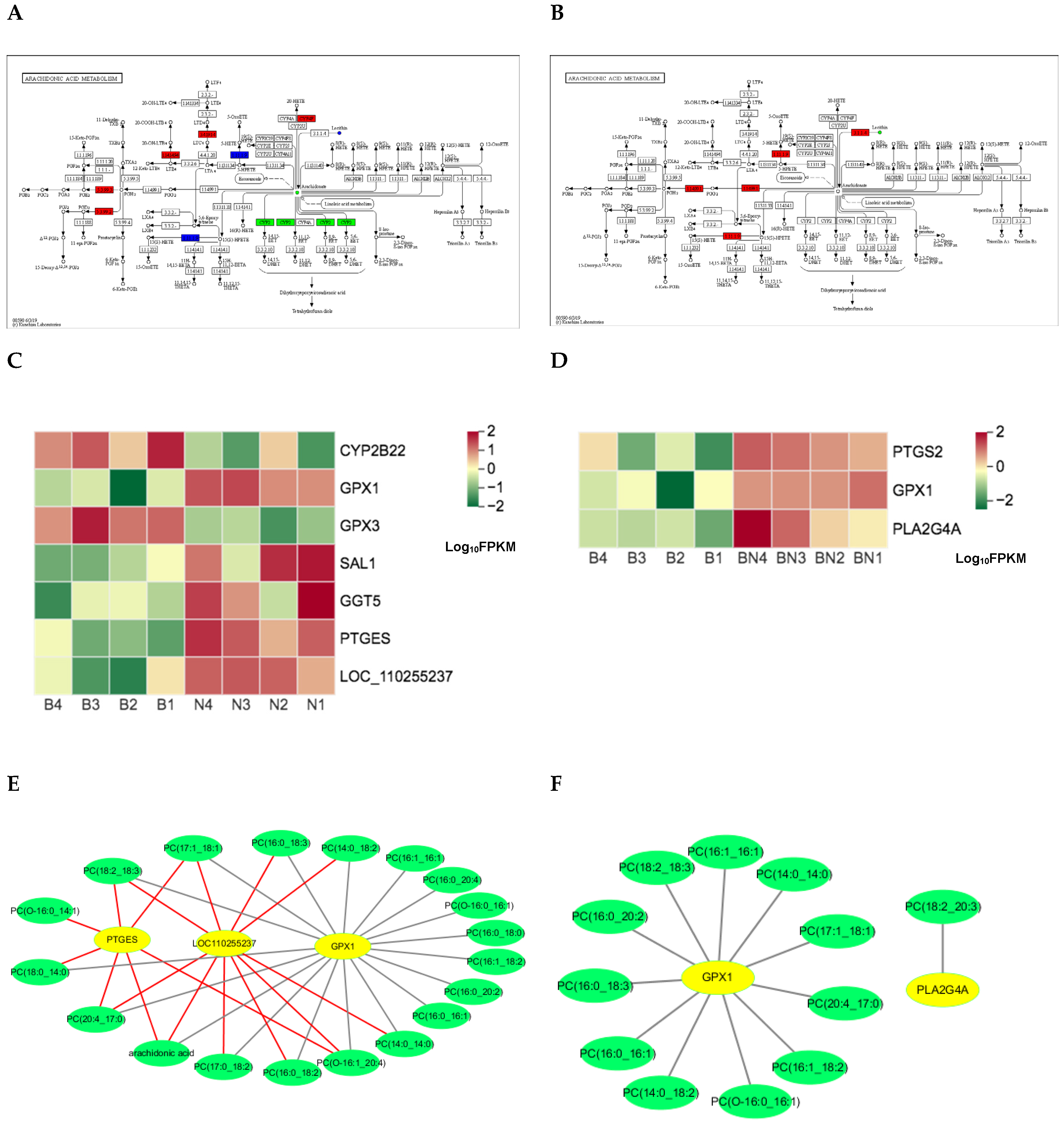 Preprints 74406 g012