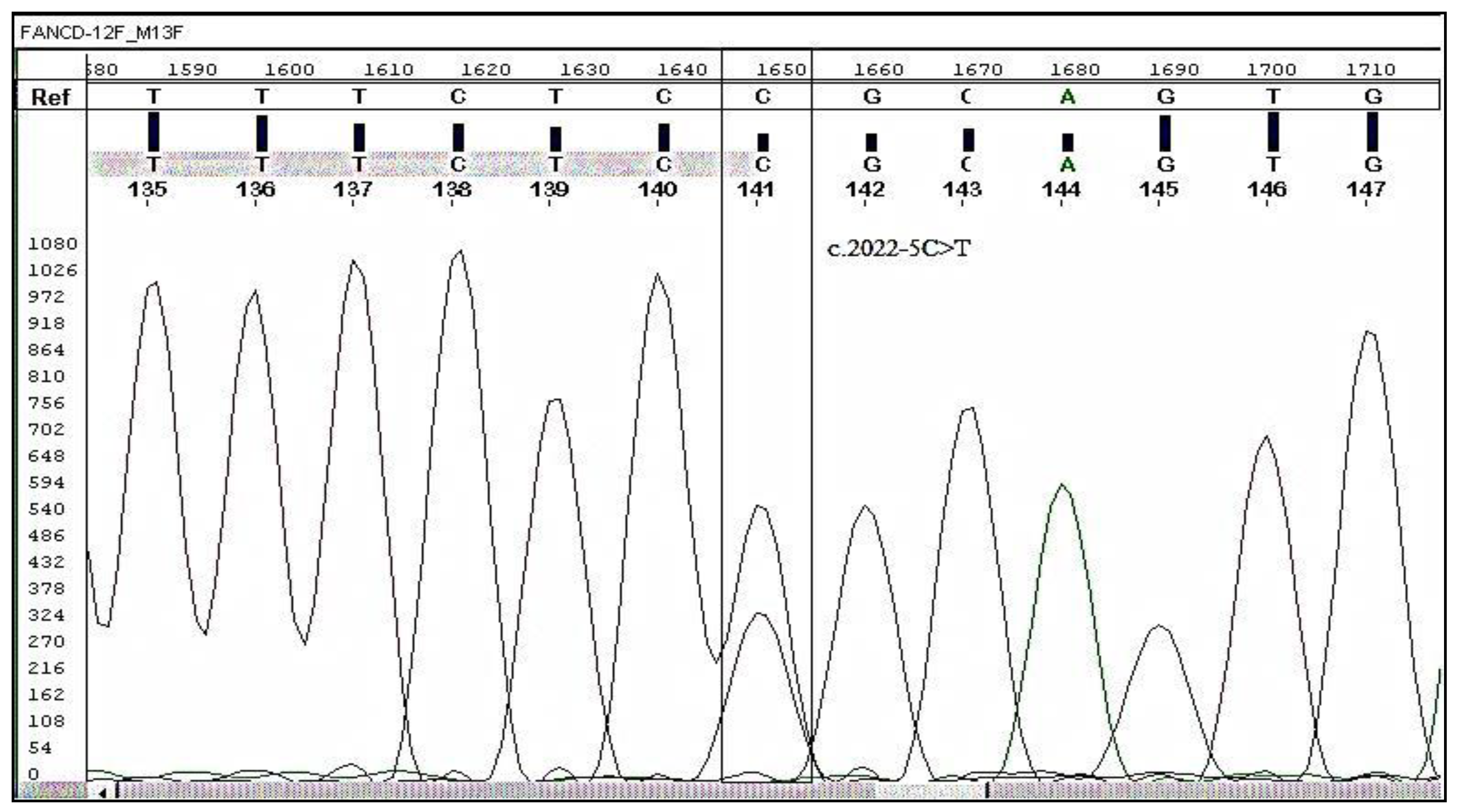 Preprints 93822 g001