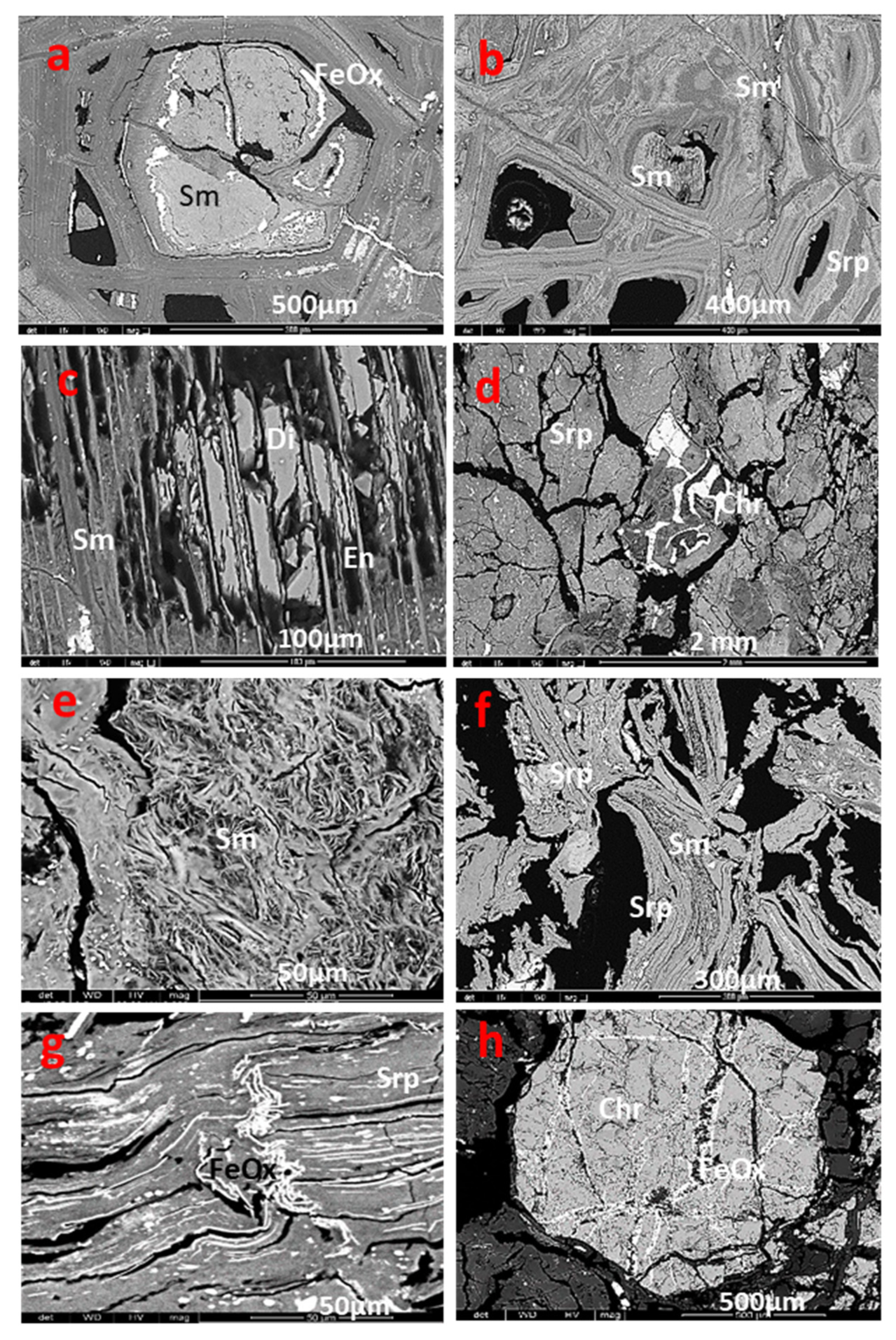 Preprints 81589 g006