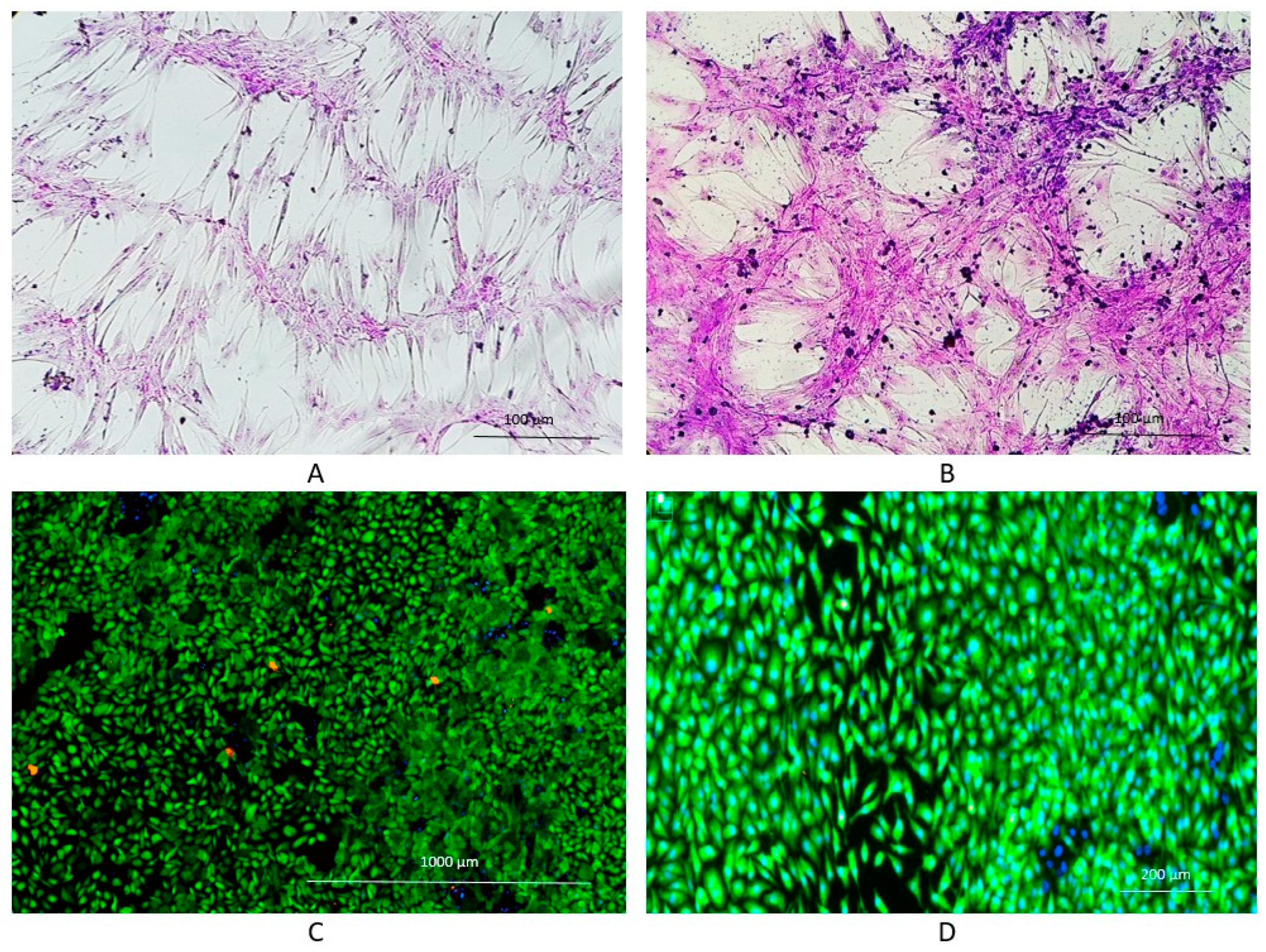 Preprints 83571 g003