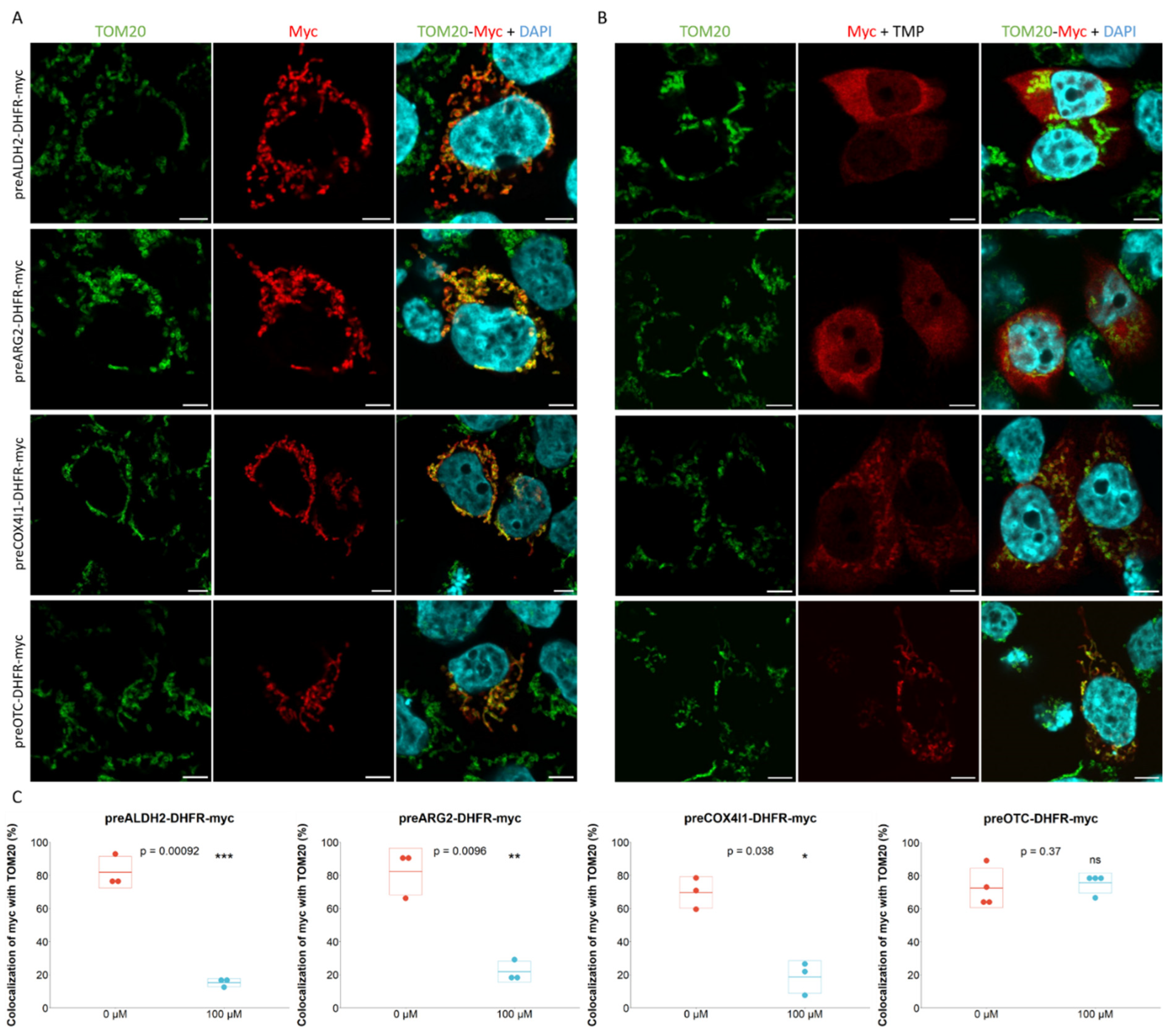 Preprints 71465 g001