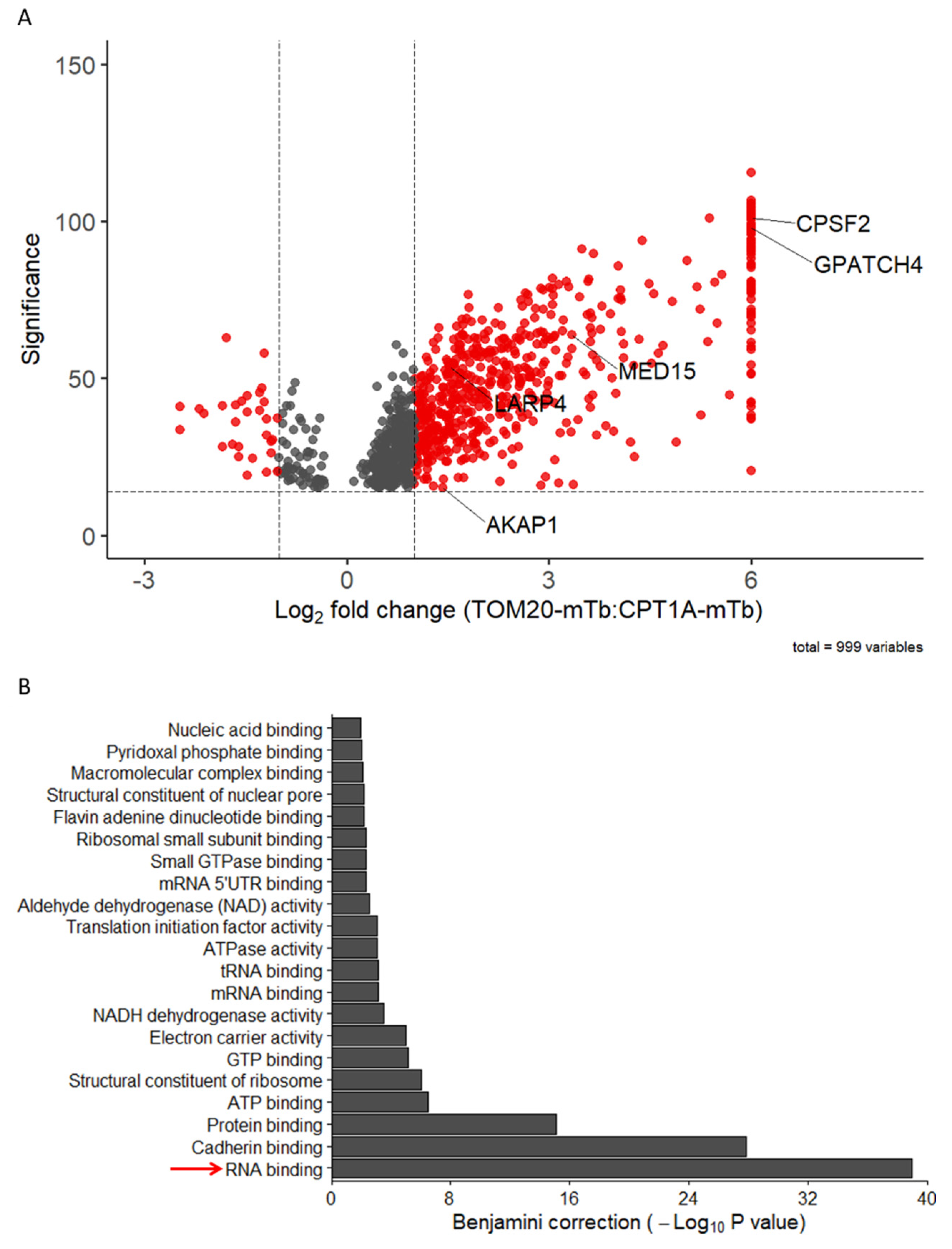 Preprints 71465 g002