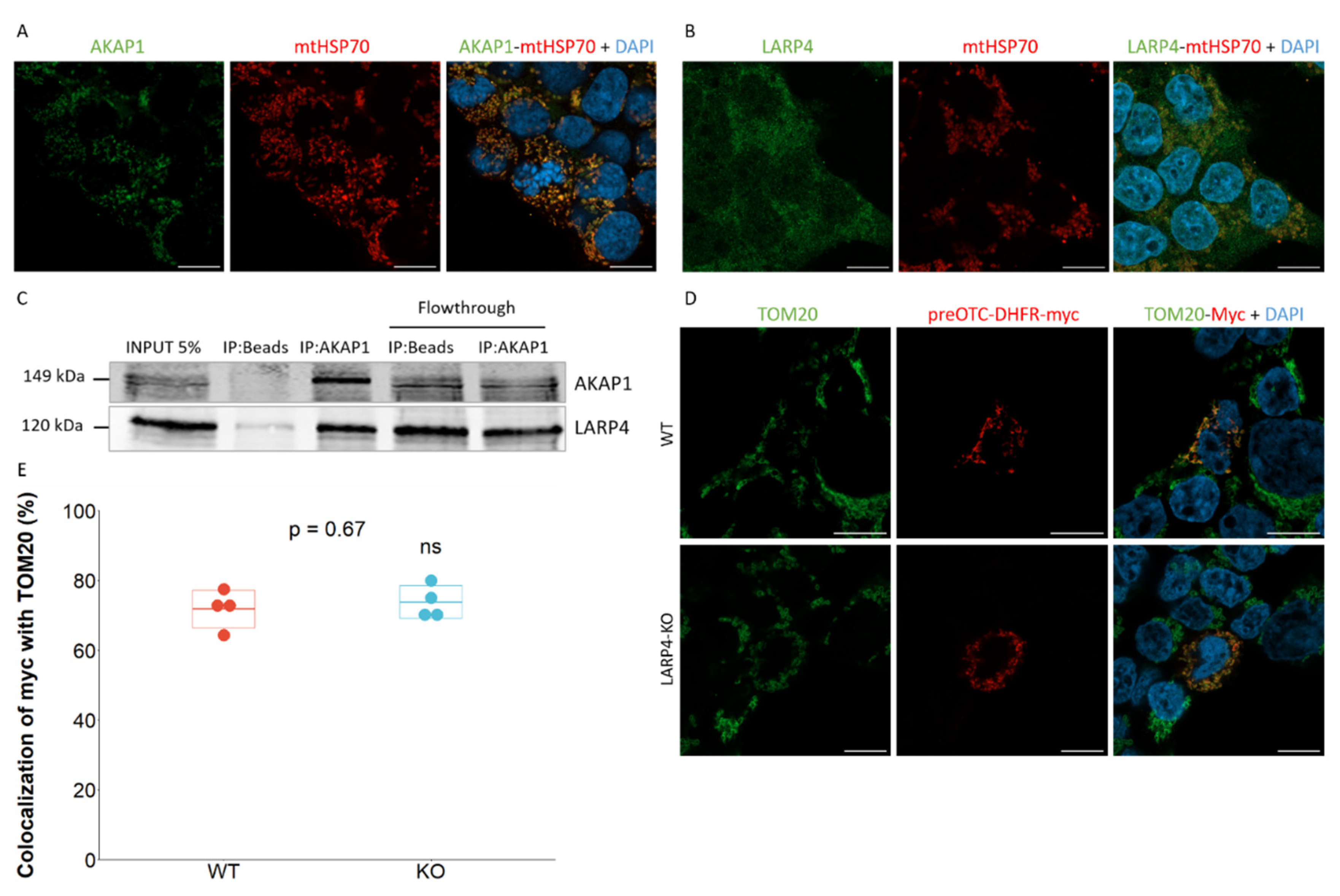 Preprints 71465 g003