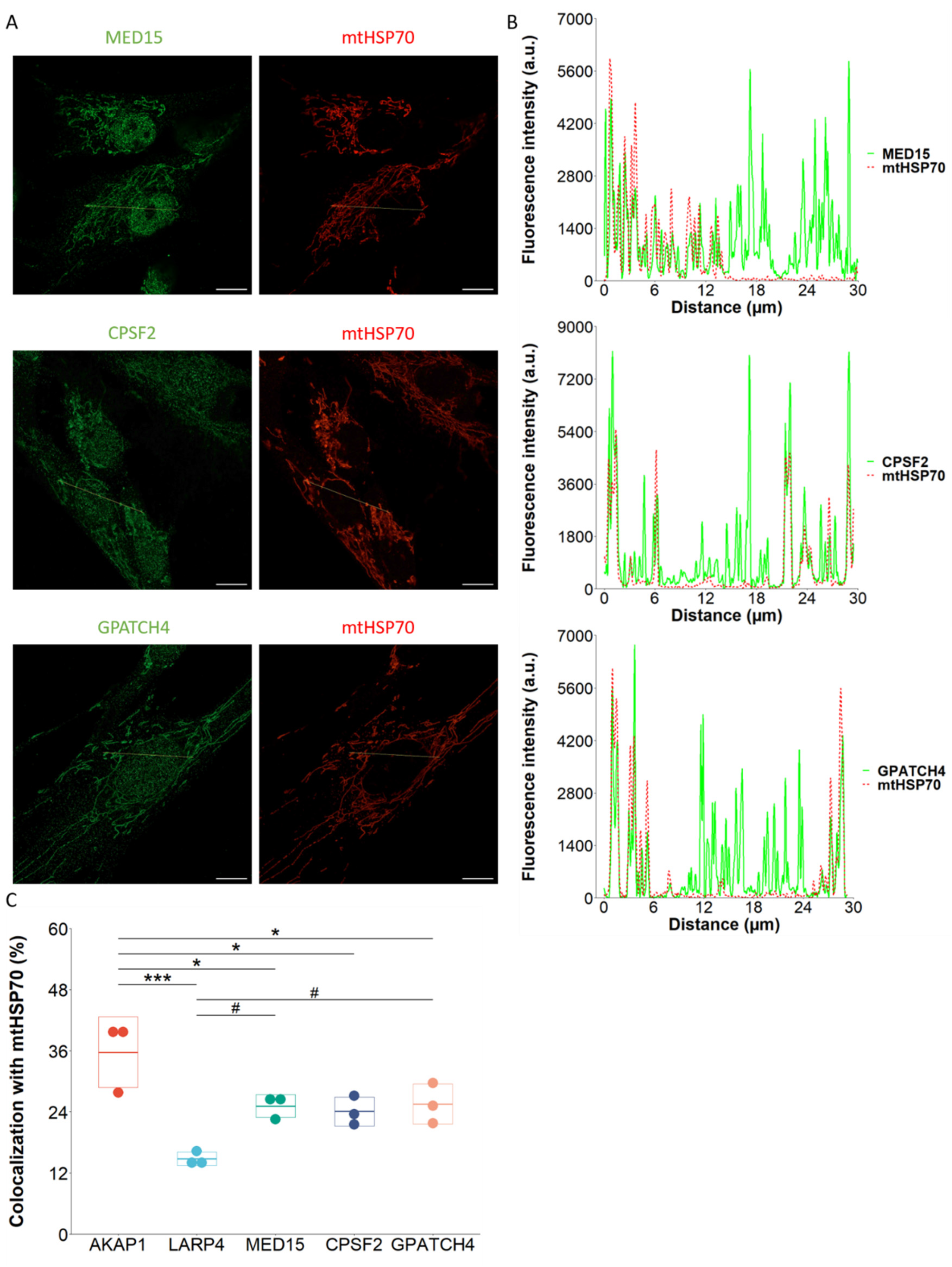 Preprints 71465 g004