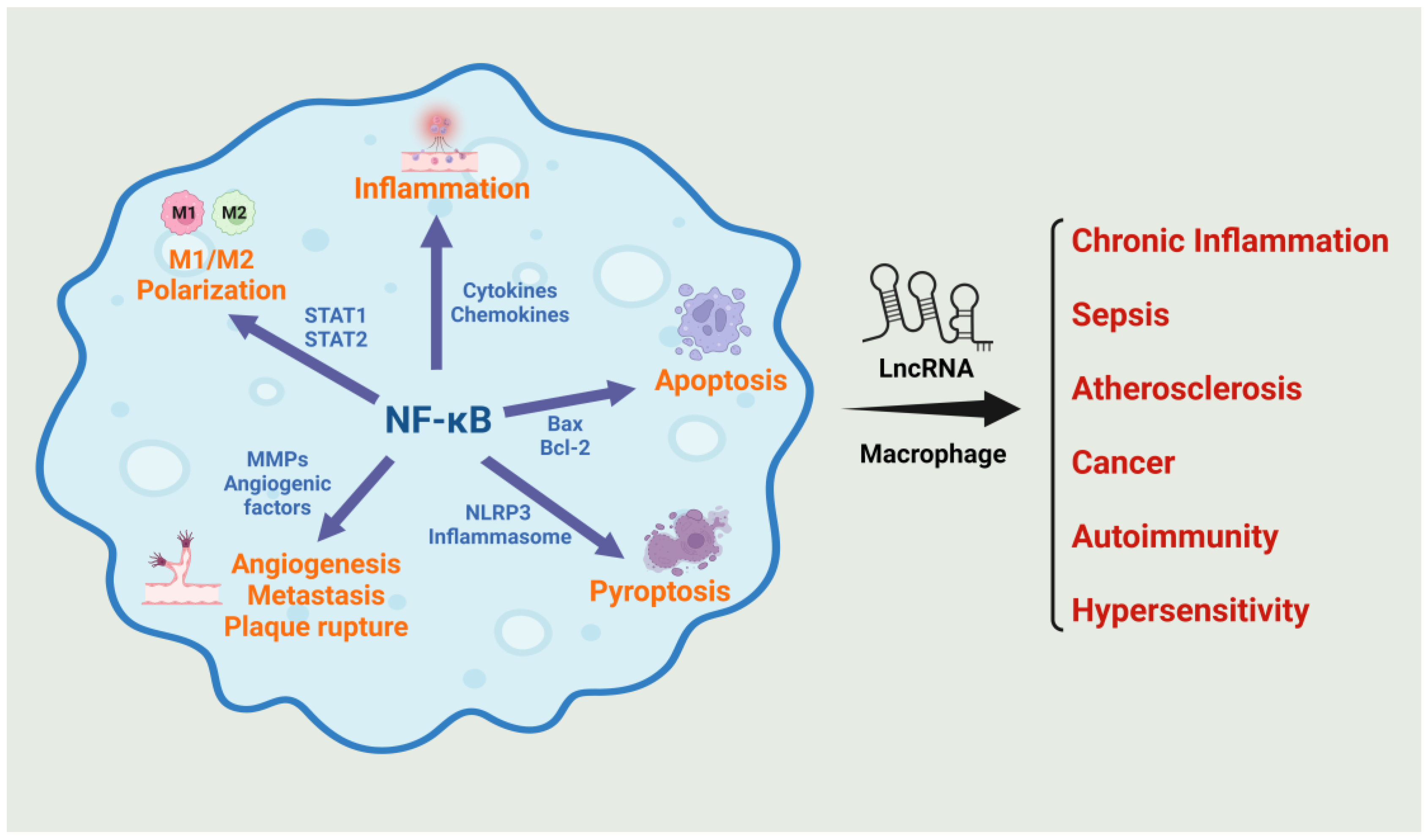 Preprints 97792 g001