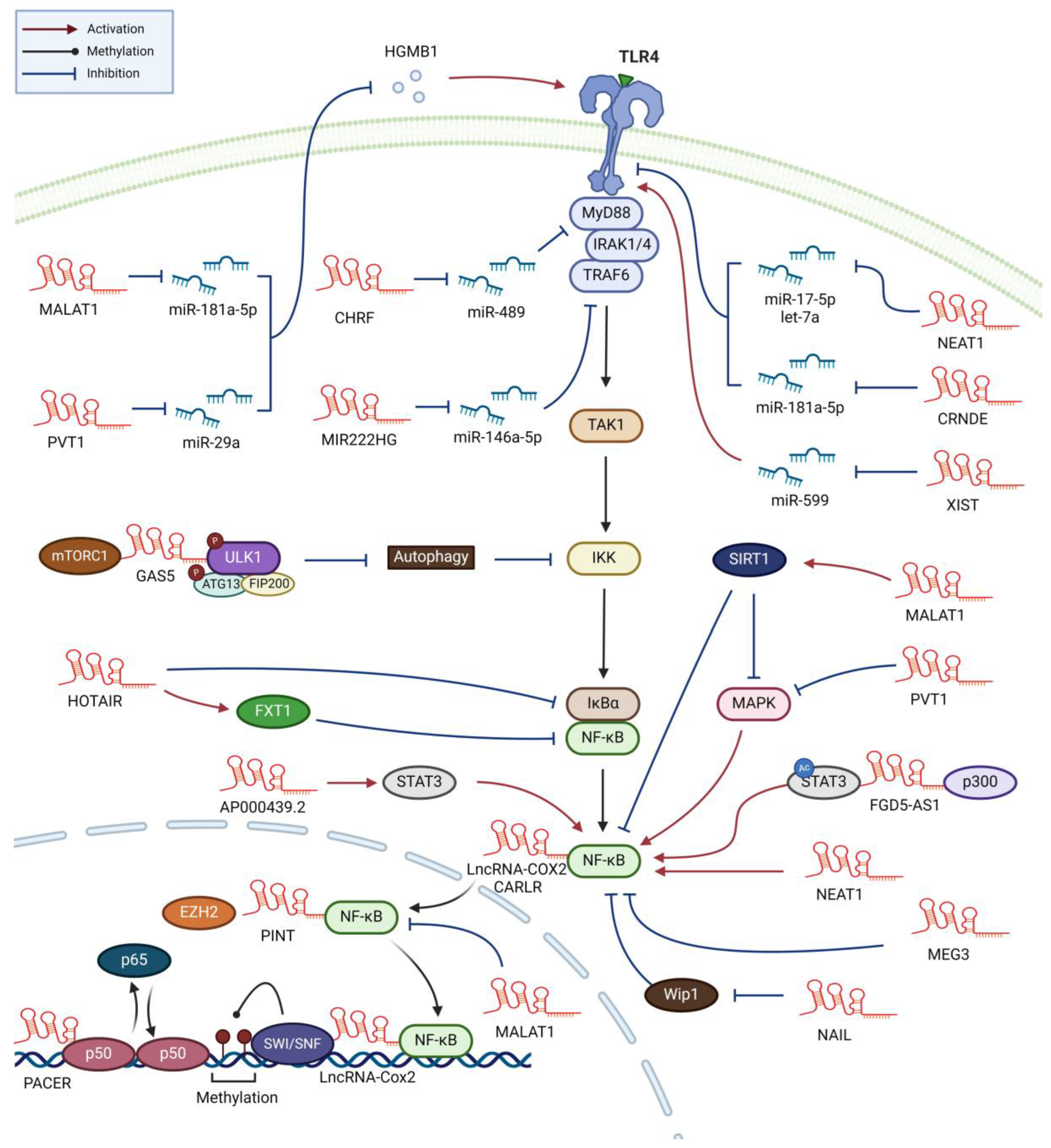 Preprints 97792 g002