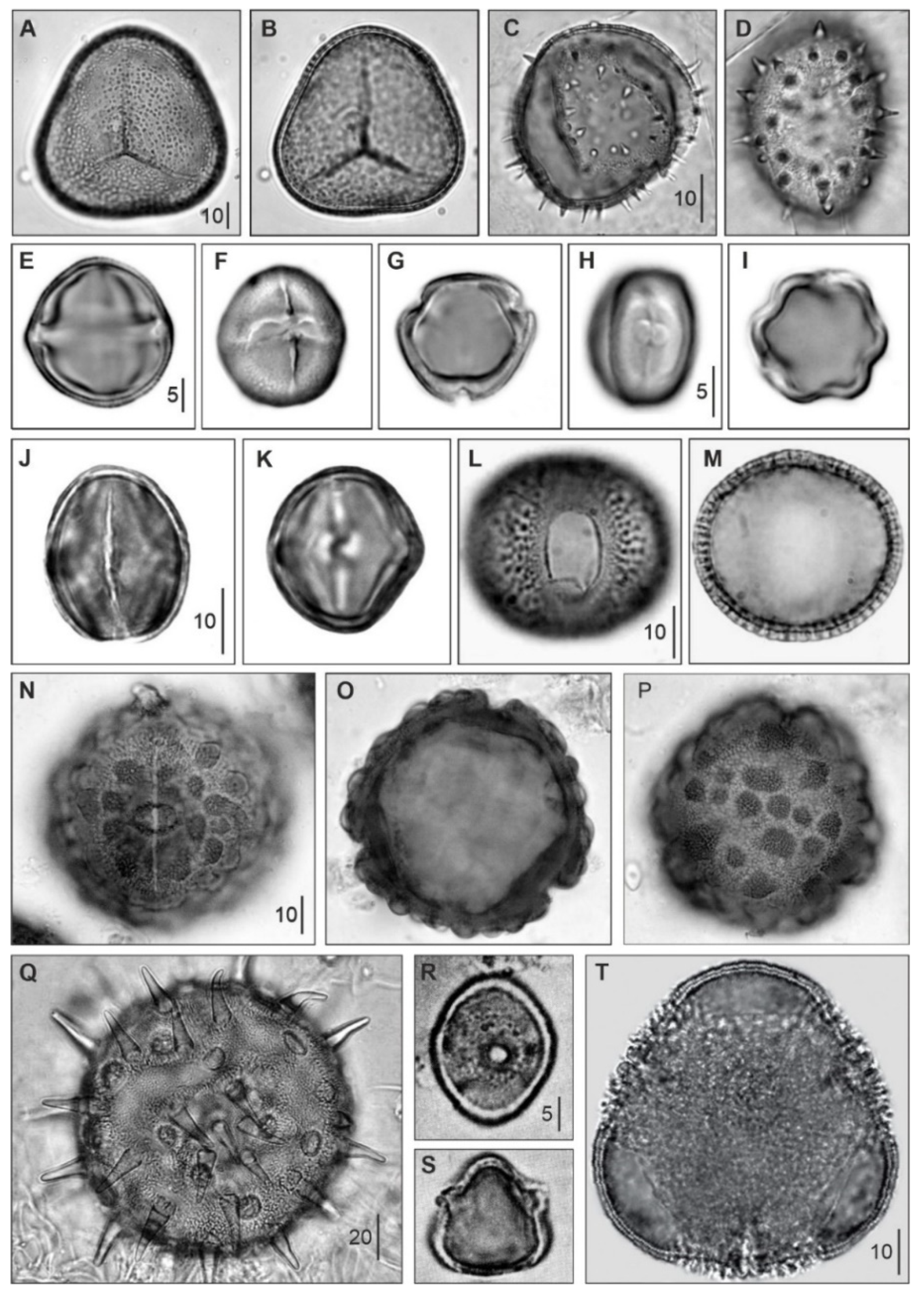 Preprints 89249 g006