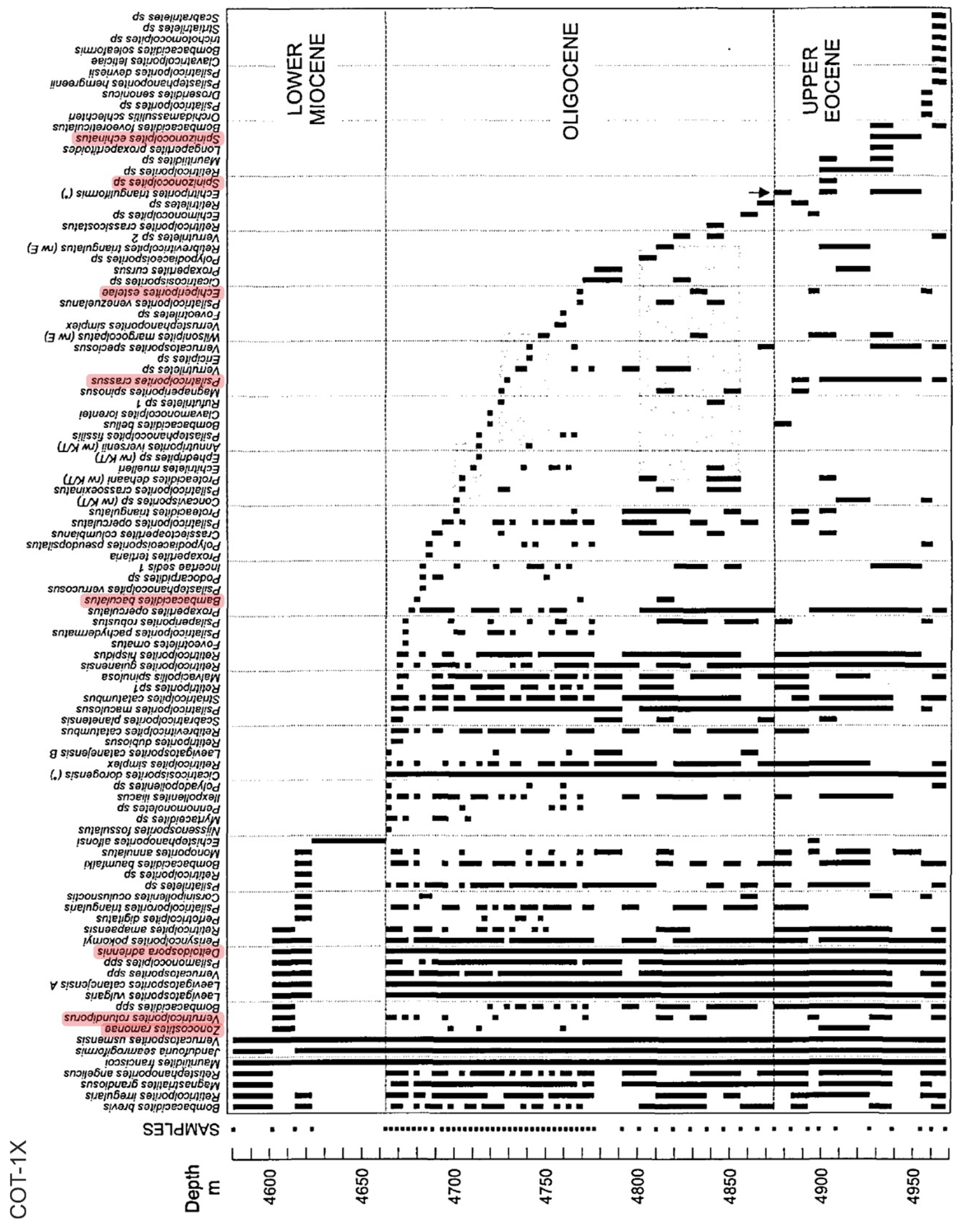 Preprints 89249 g008