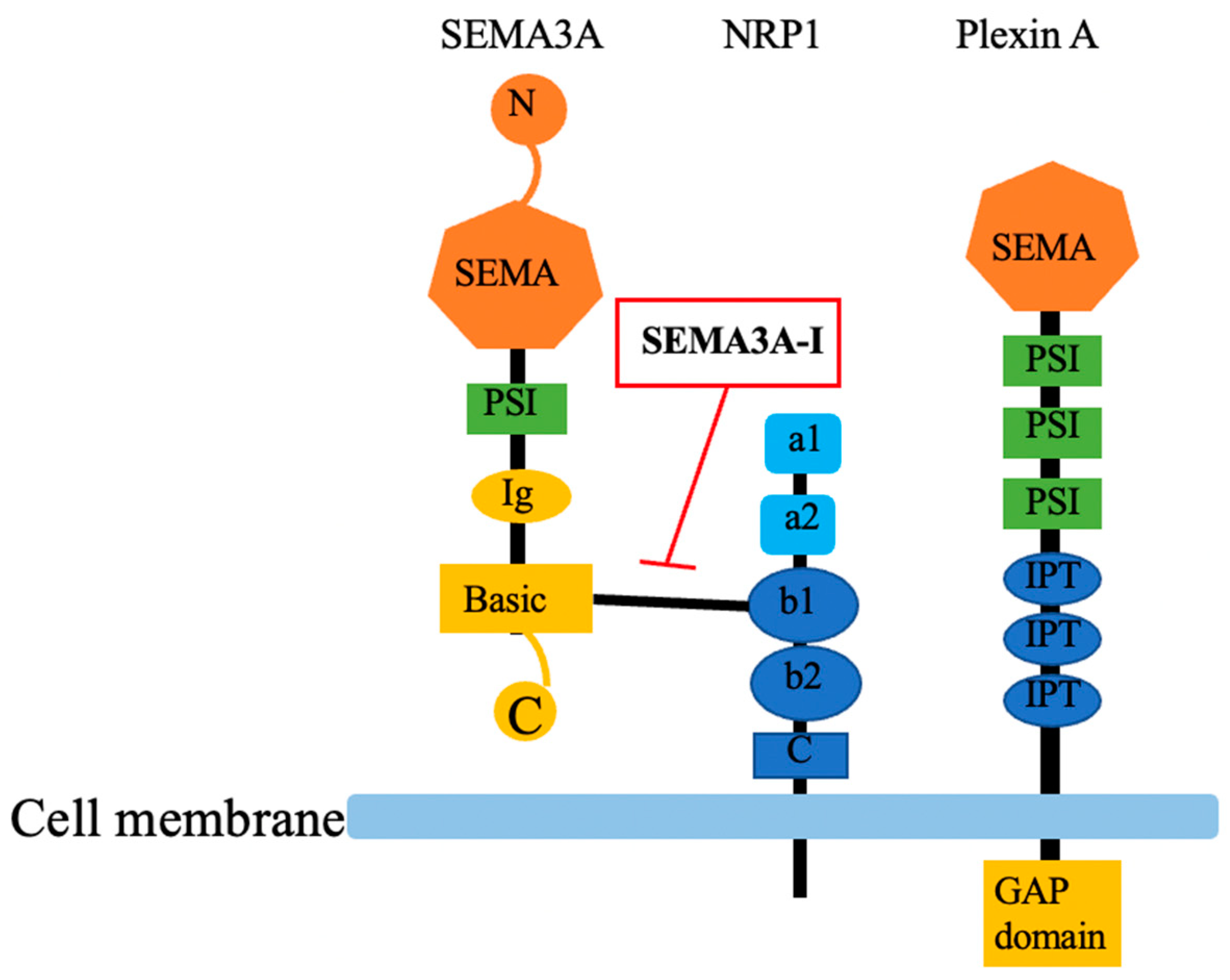 Preprints 83552 g001