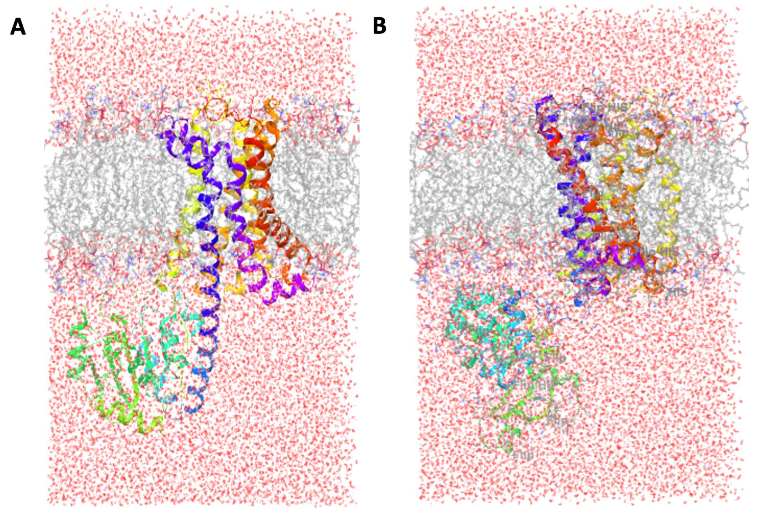 Preprints 114983 g0a1