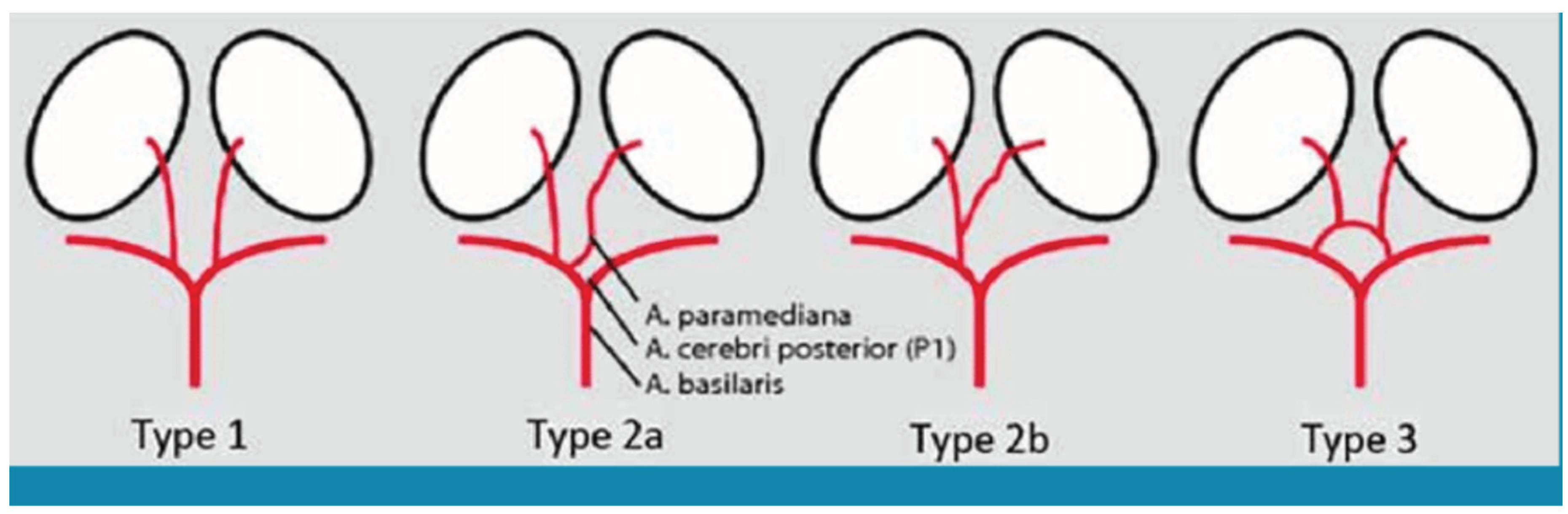 Preprints 103109 g005