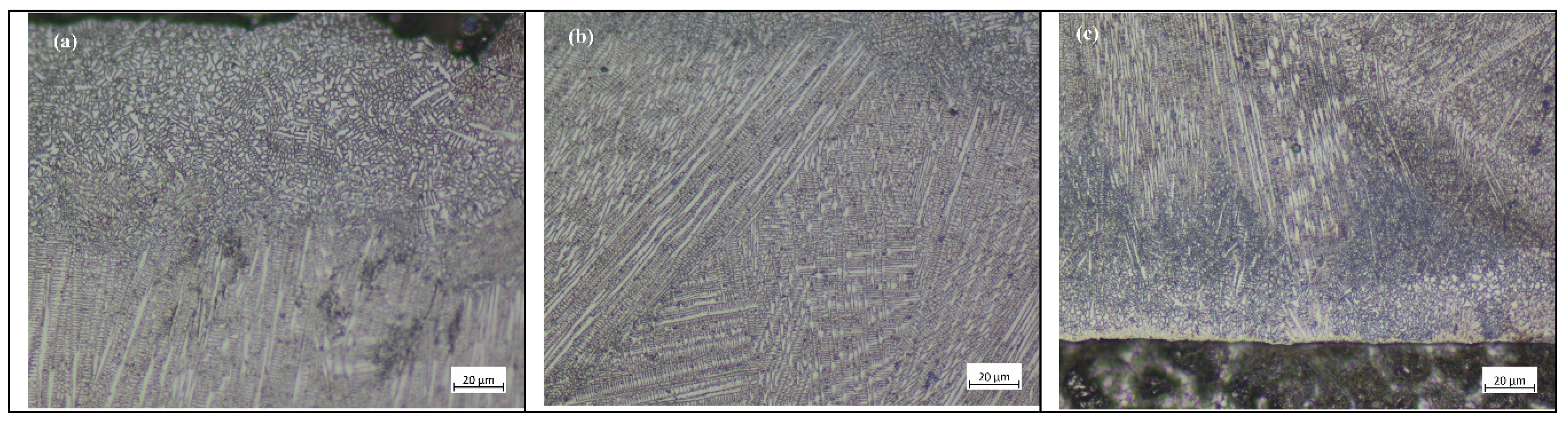 Preprints 71193 g011