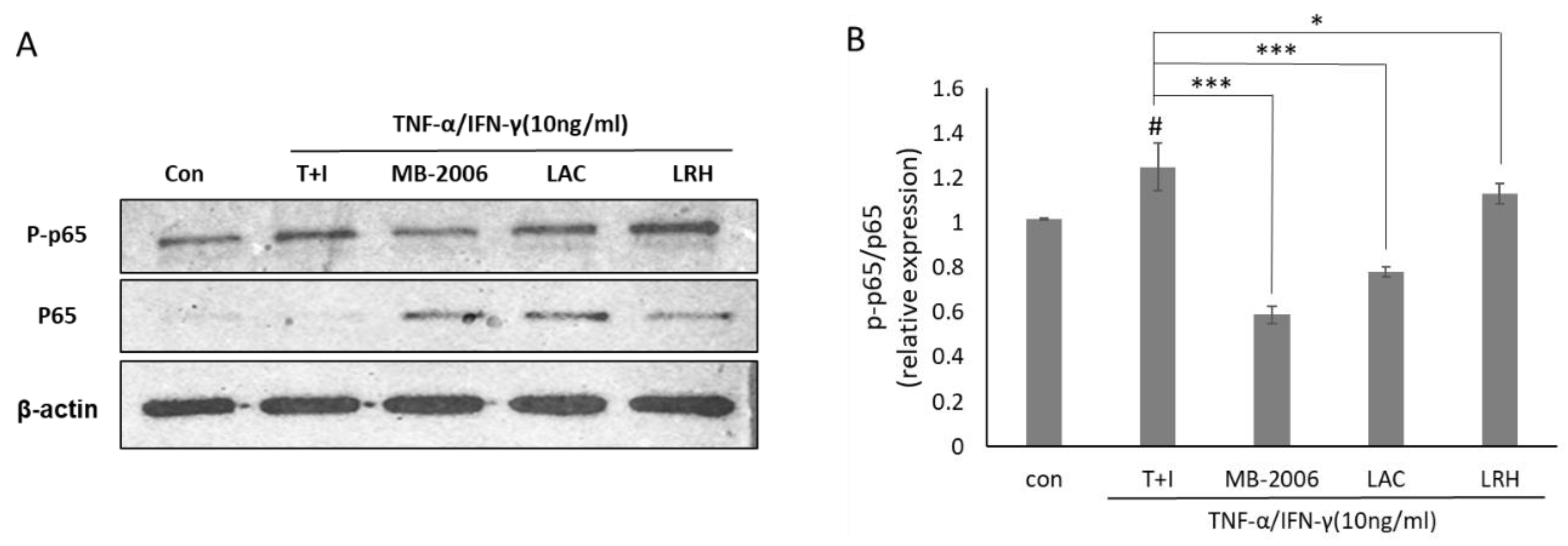 Preprints 106454 g004