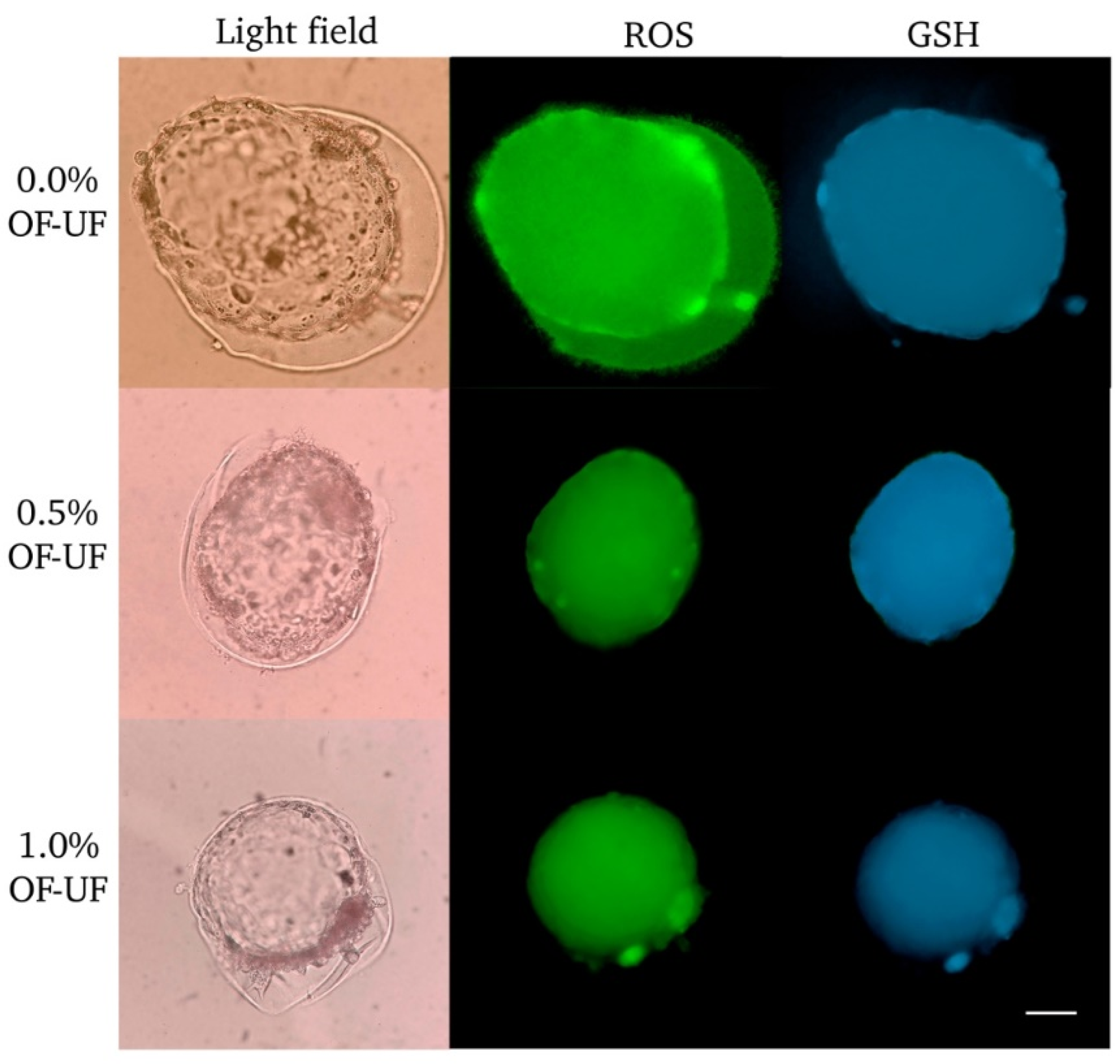 Preprints 115724 g001