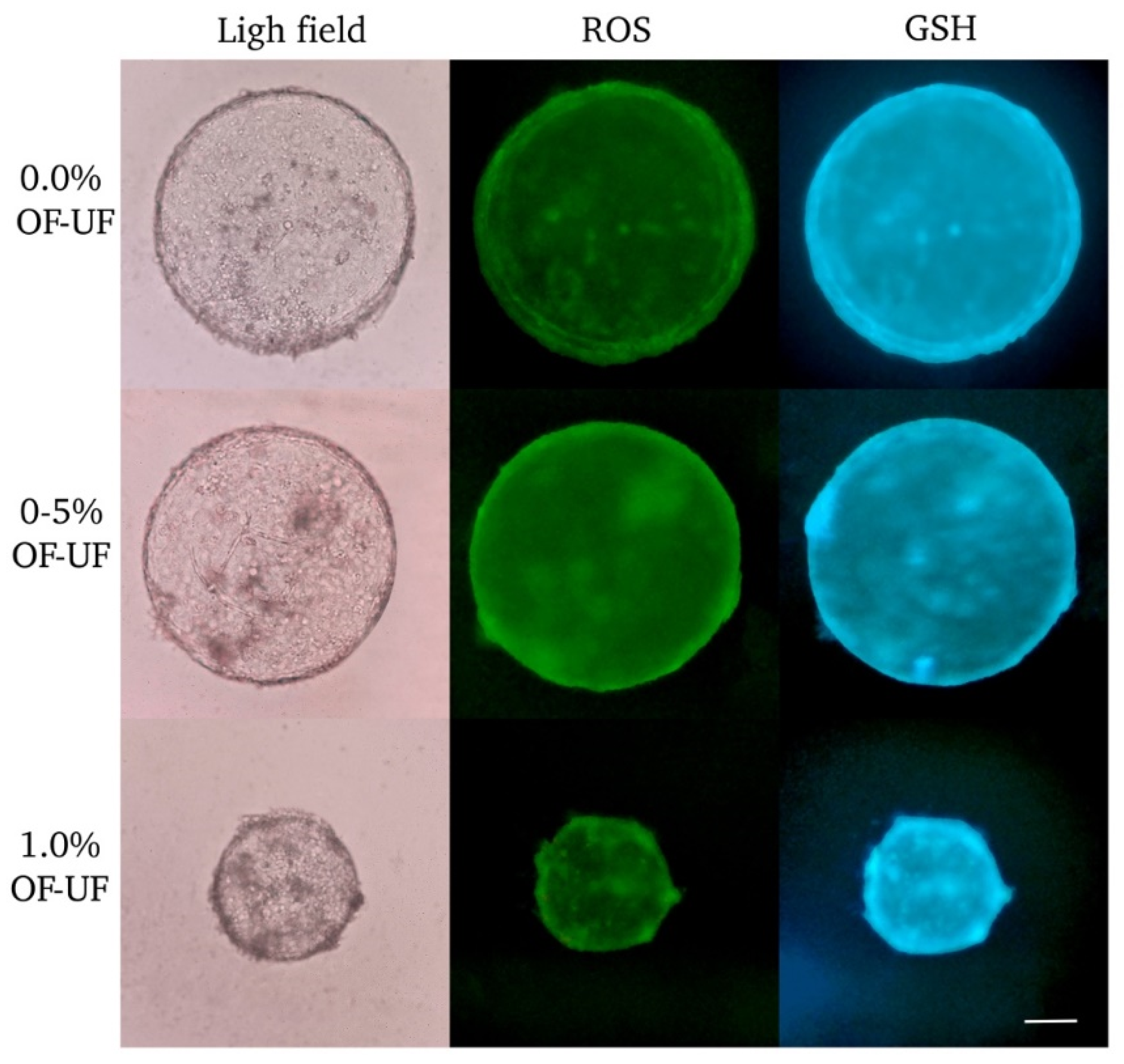 Preprints 115724 g002