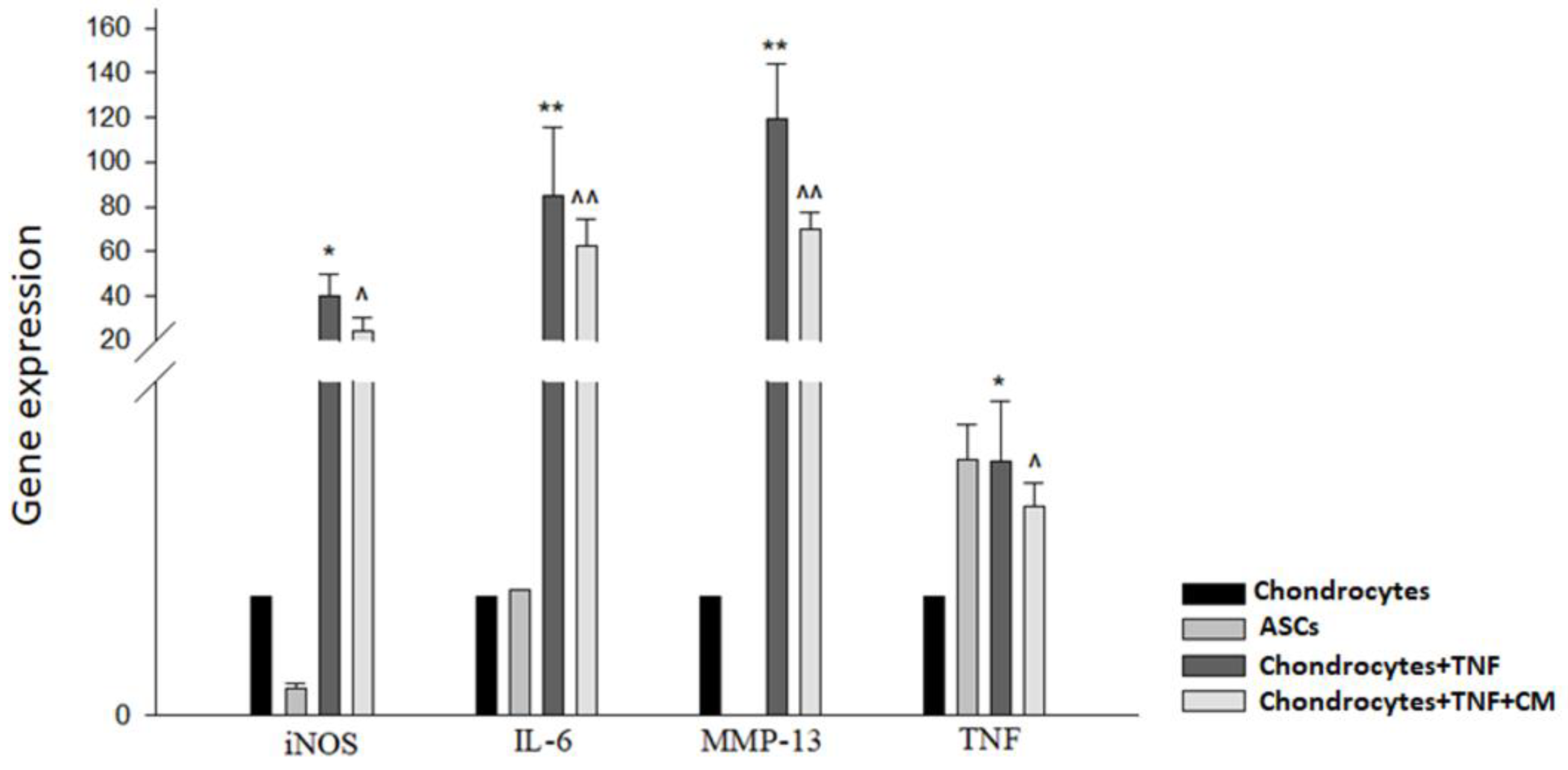 Preprints 118583 g001