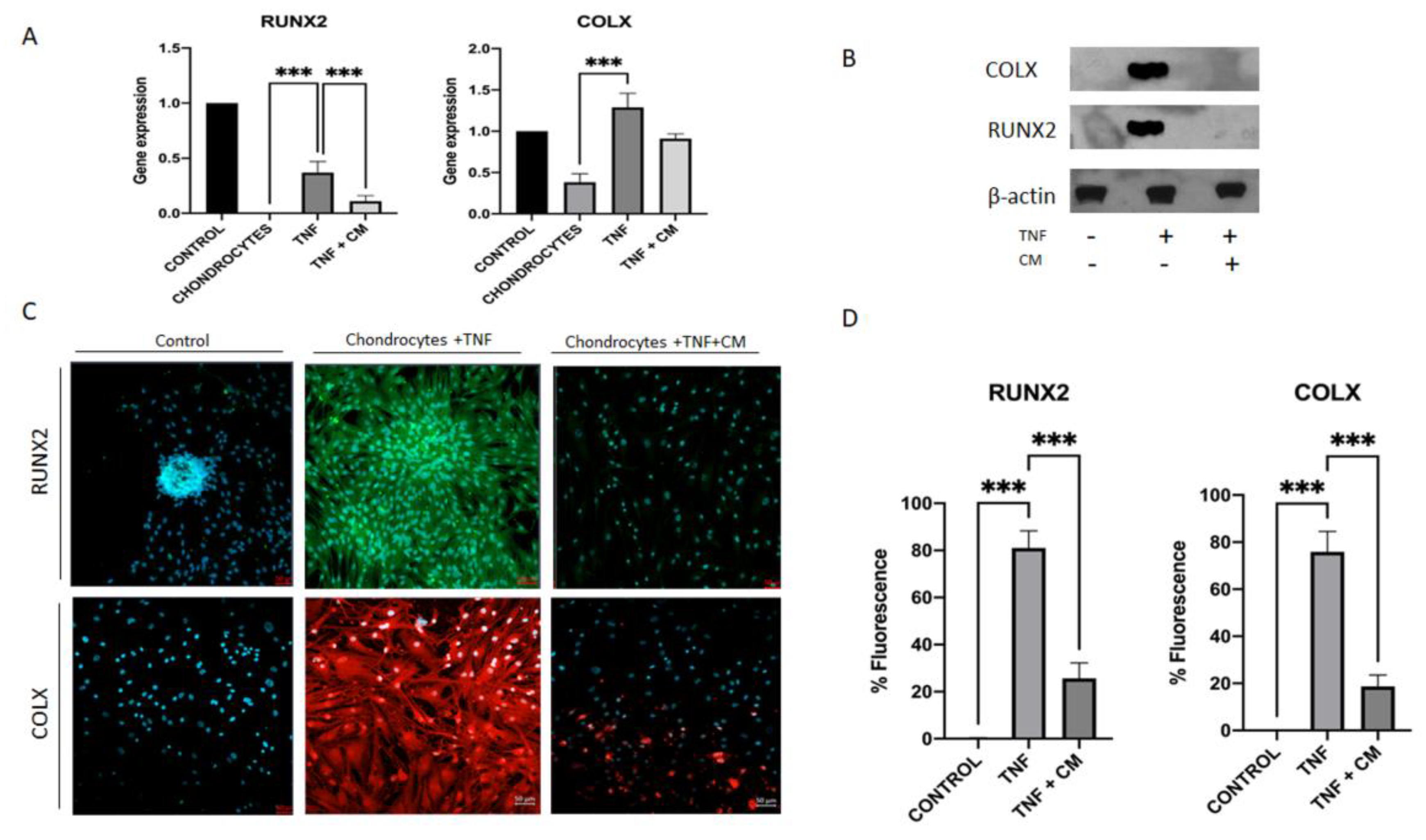 Preprints 118583 g004