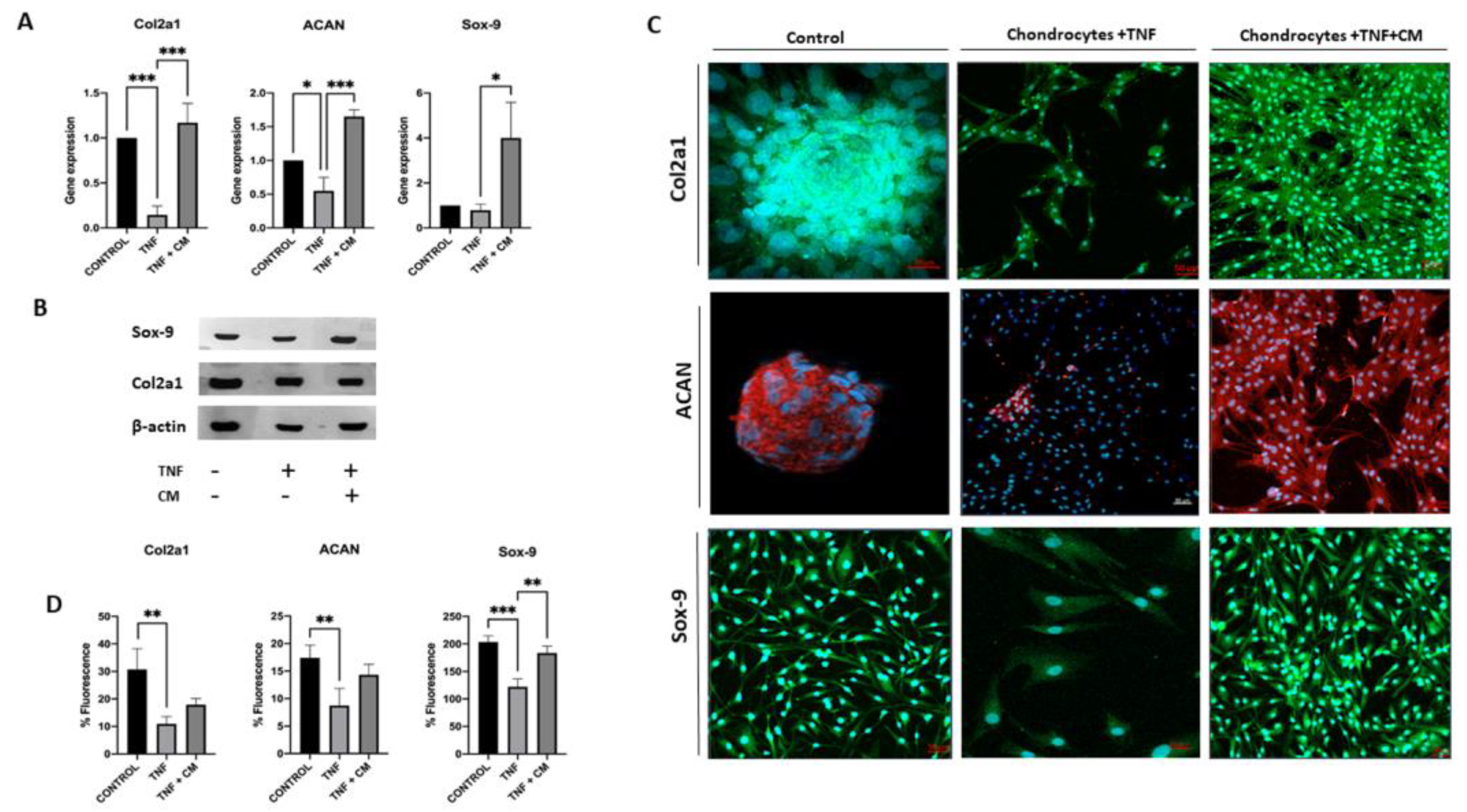 Preprints 118583 g005