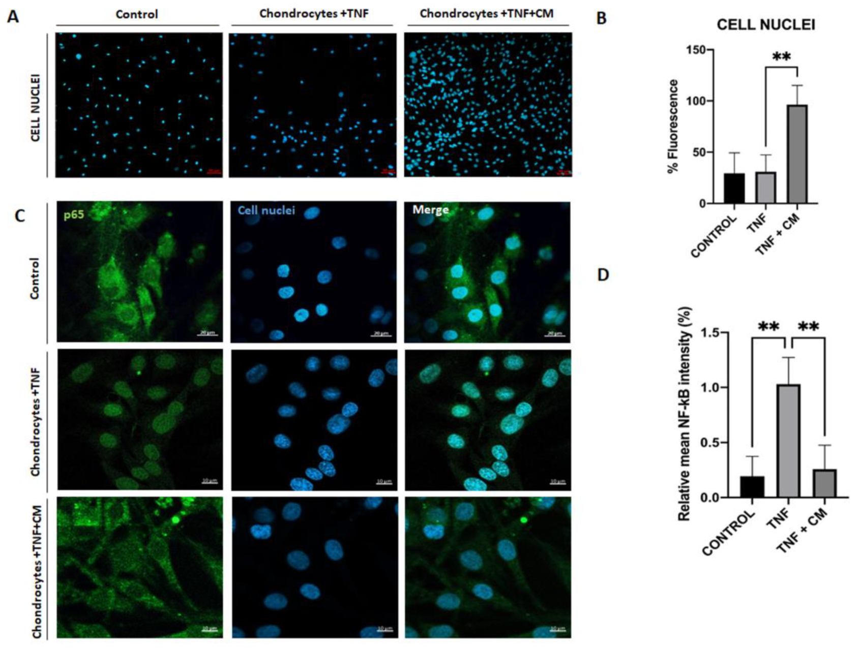 Preprints 118583 g006