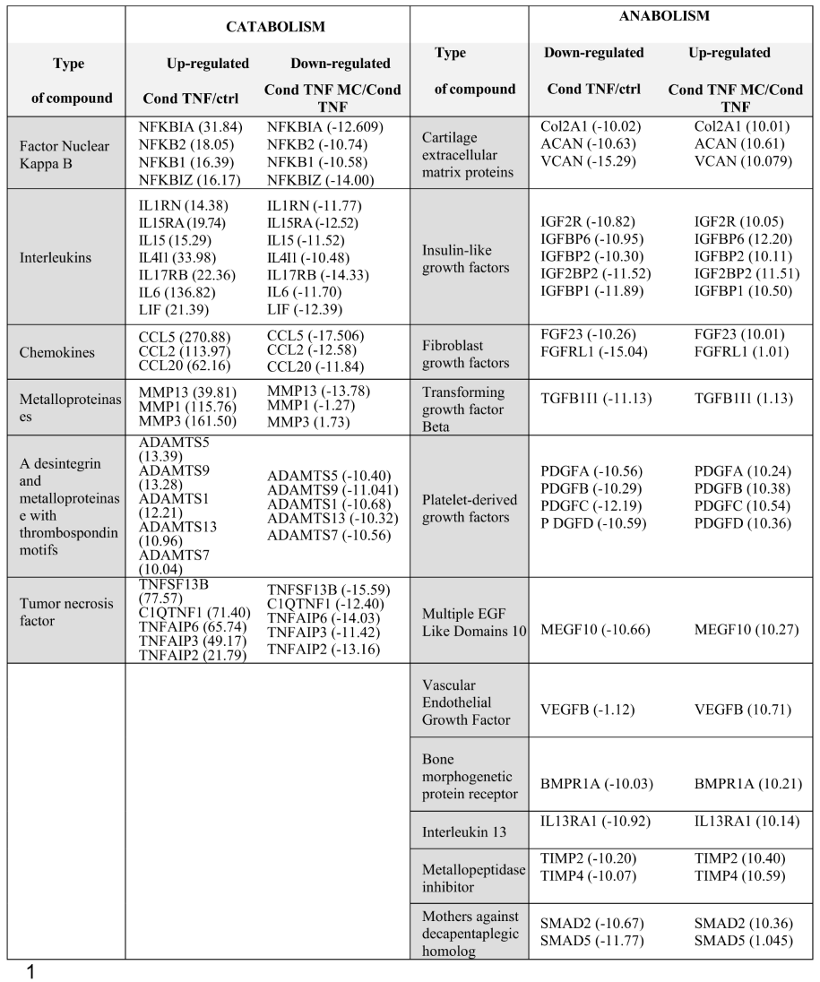 Preprints 118583 i001