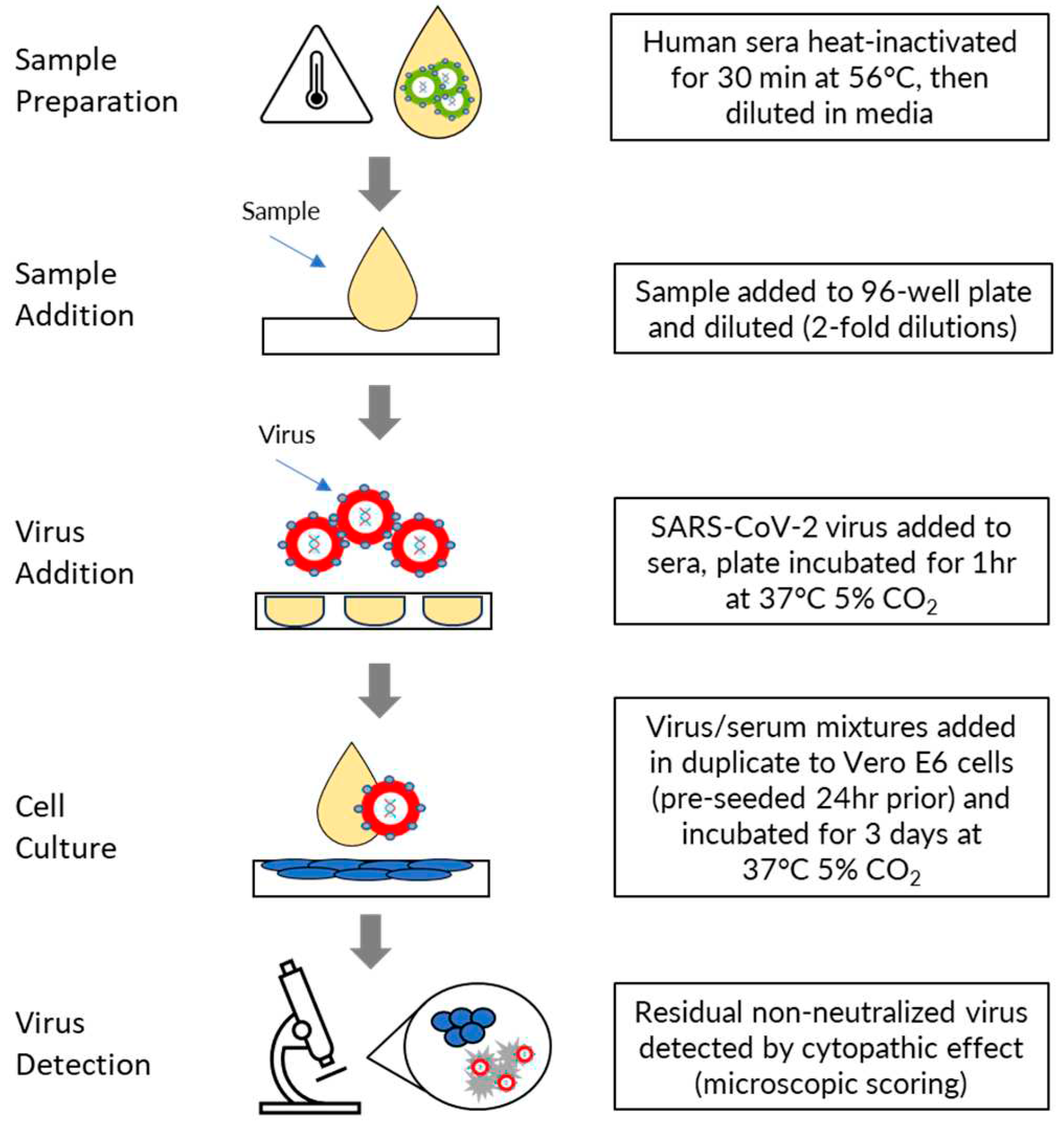 Preprints 92084 g001