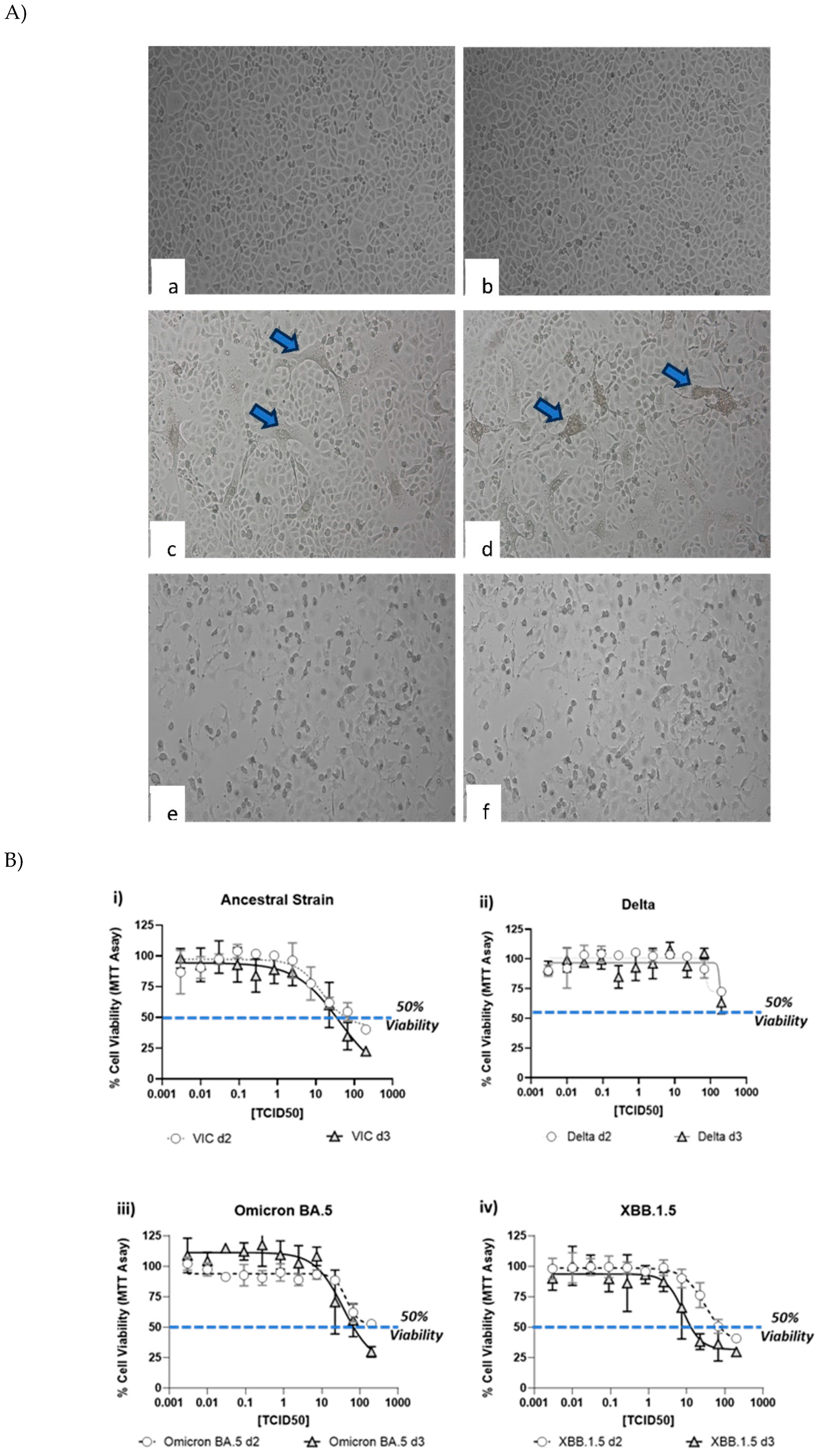 Preprints 92084 g002a