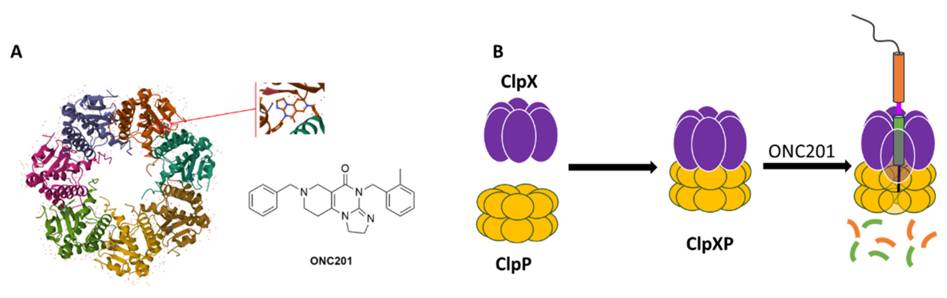 Preprints 93638 g002