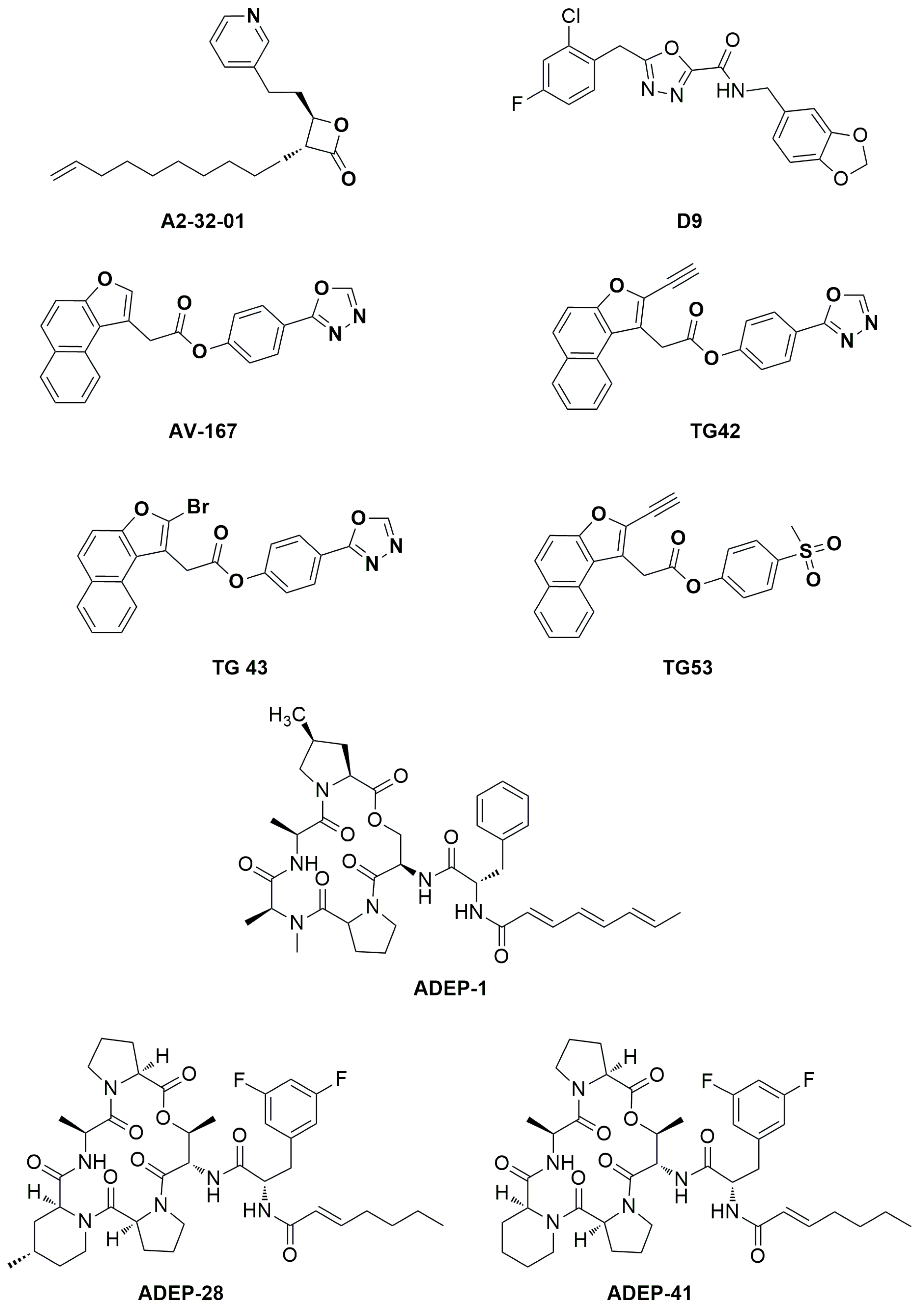 Preprints 93638 g003