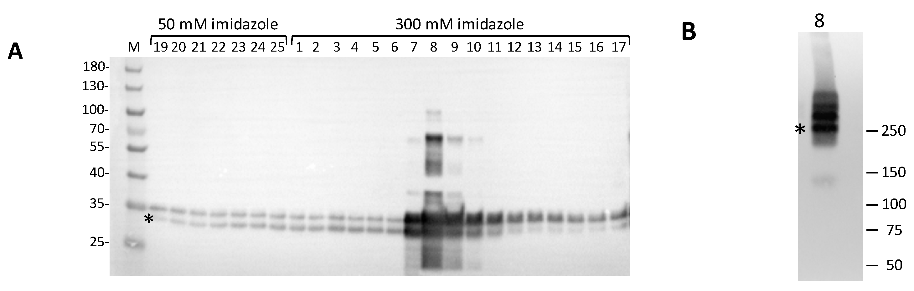 Preprints 93638 g004