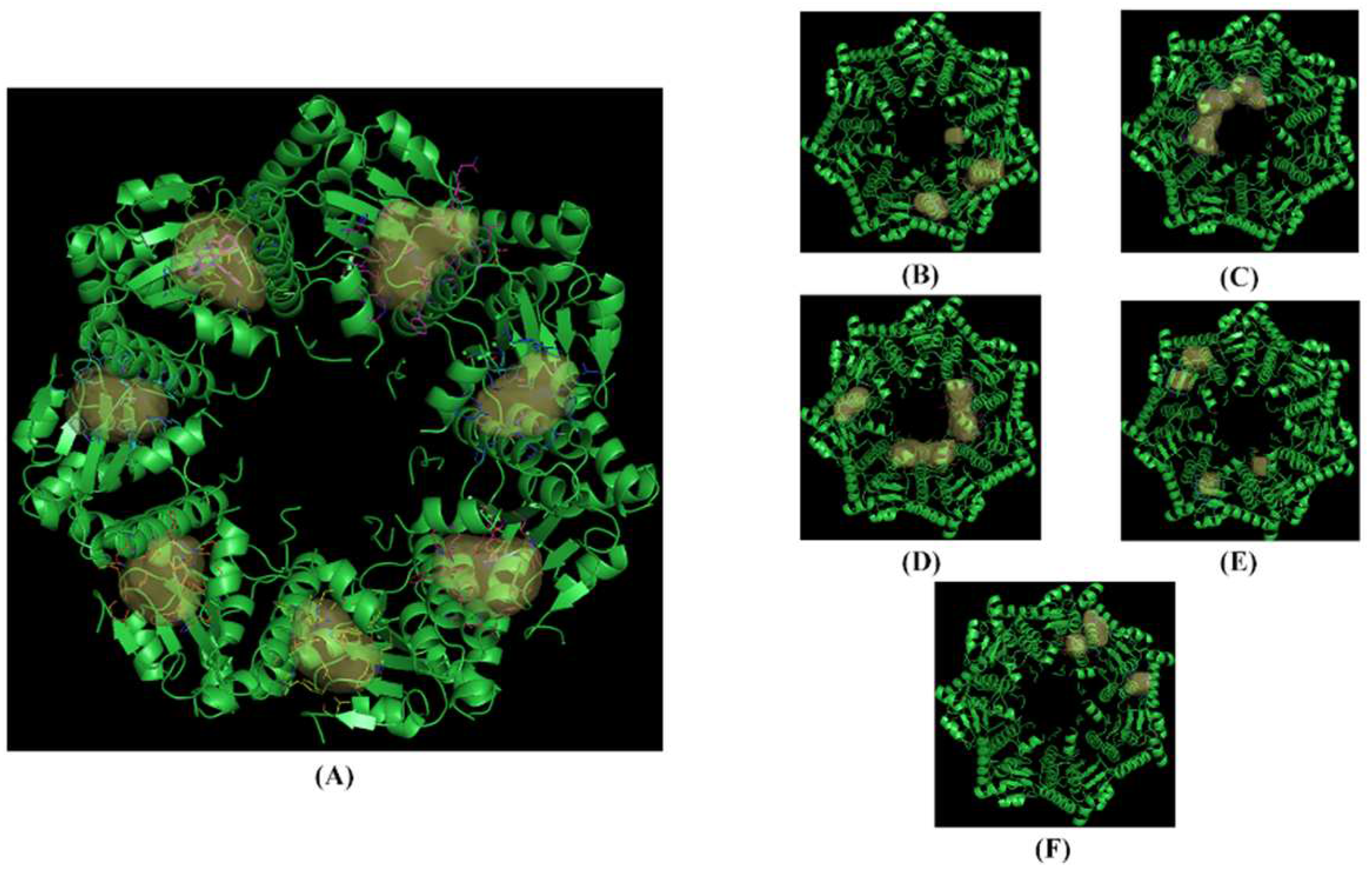 Preprints 93638 g006