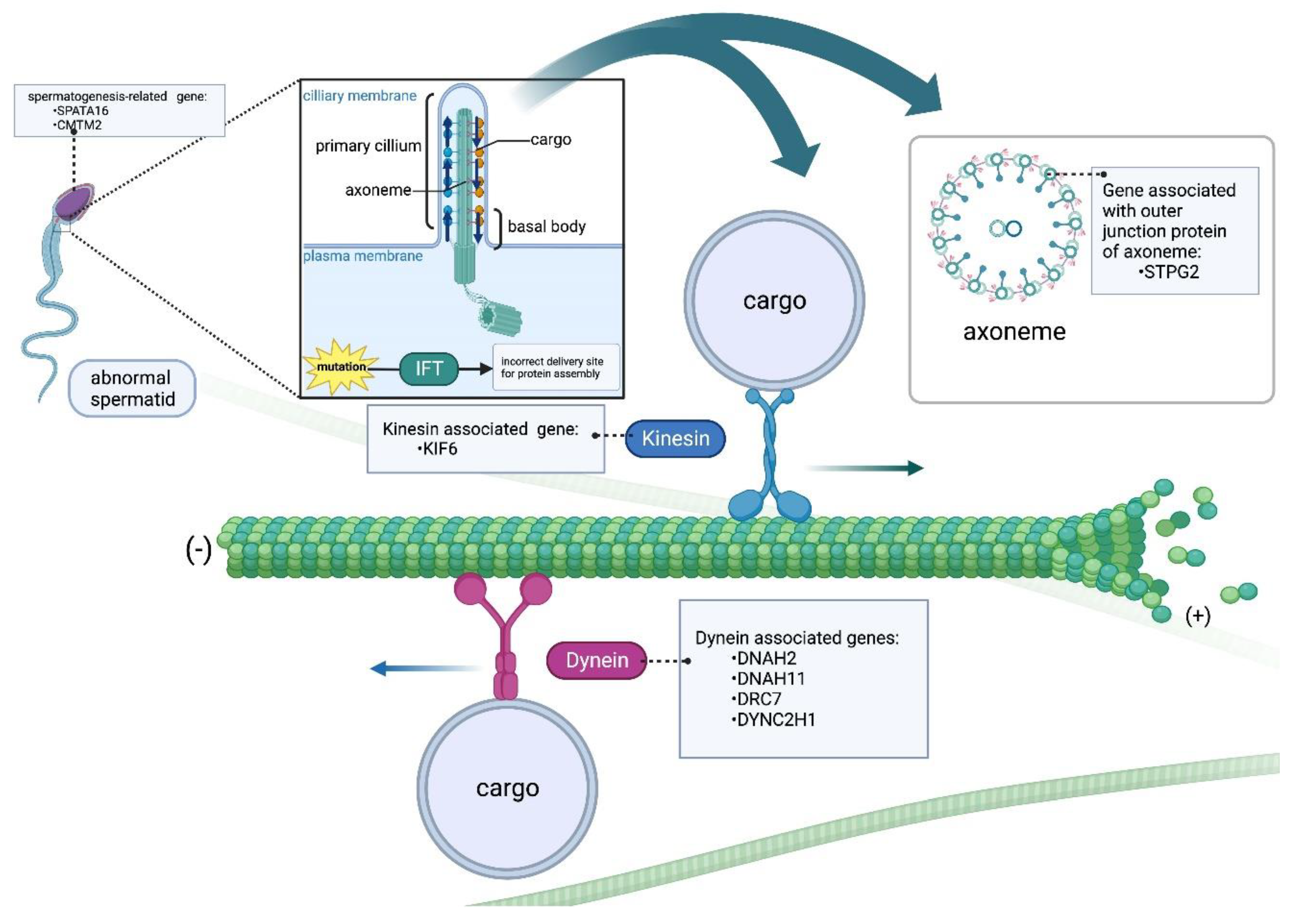 Preprints 83771 g004