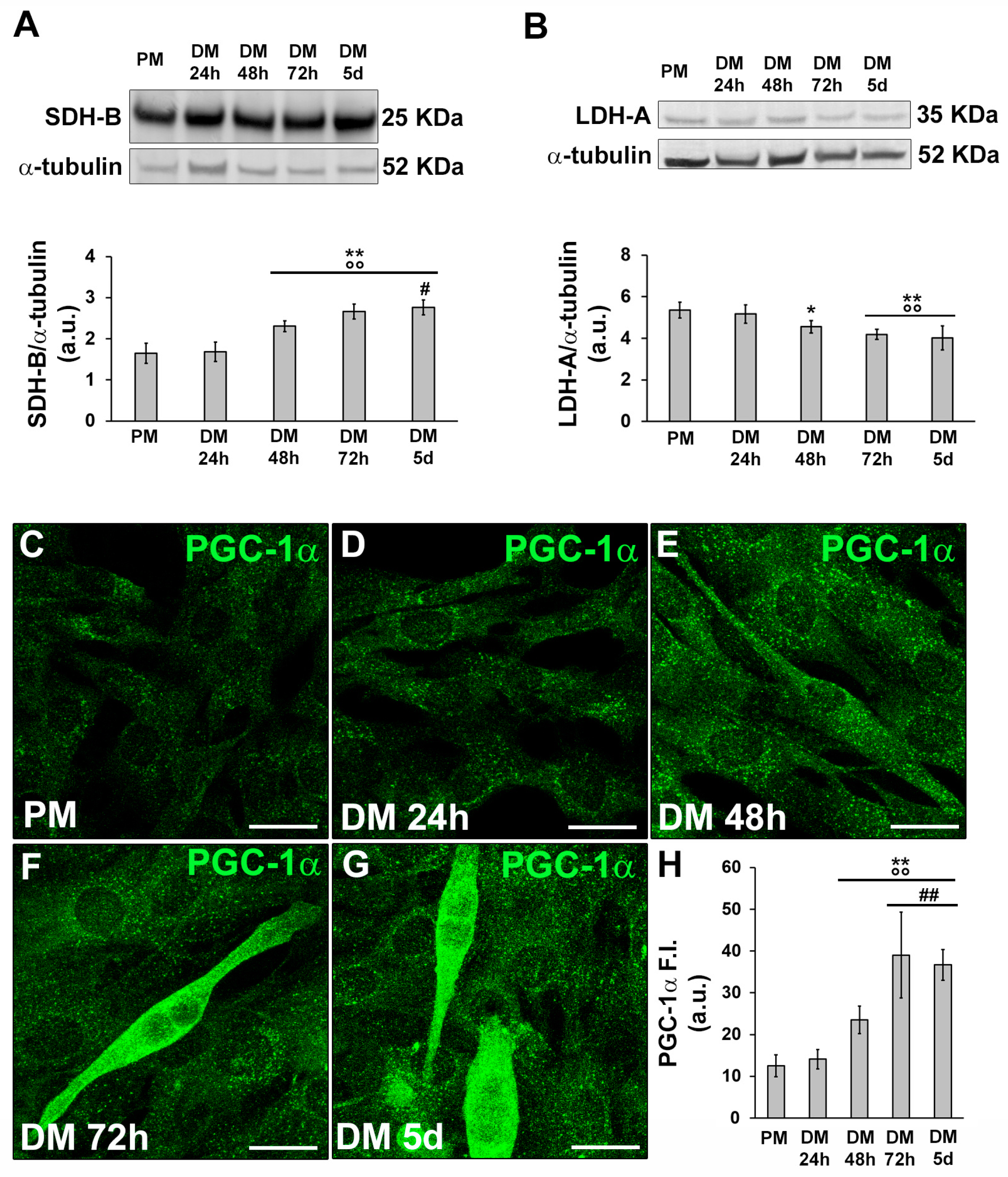 Preprints 89937 g002