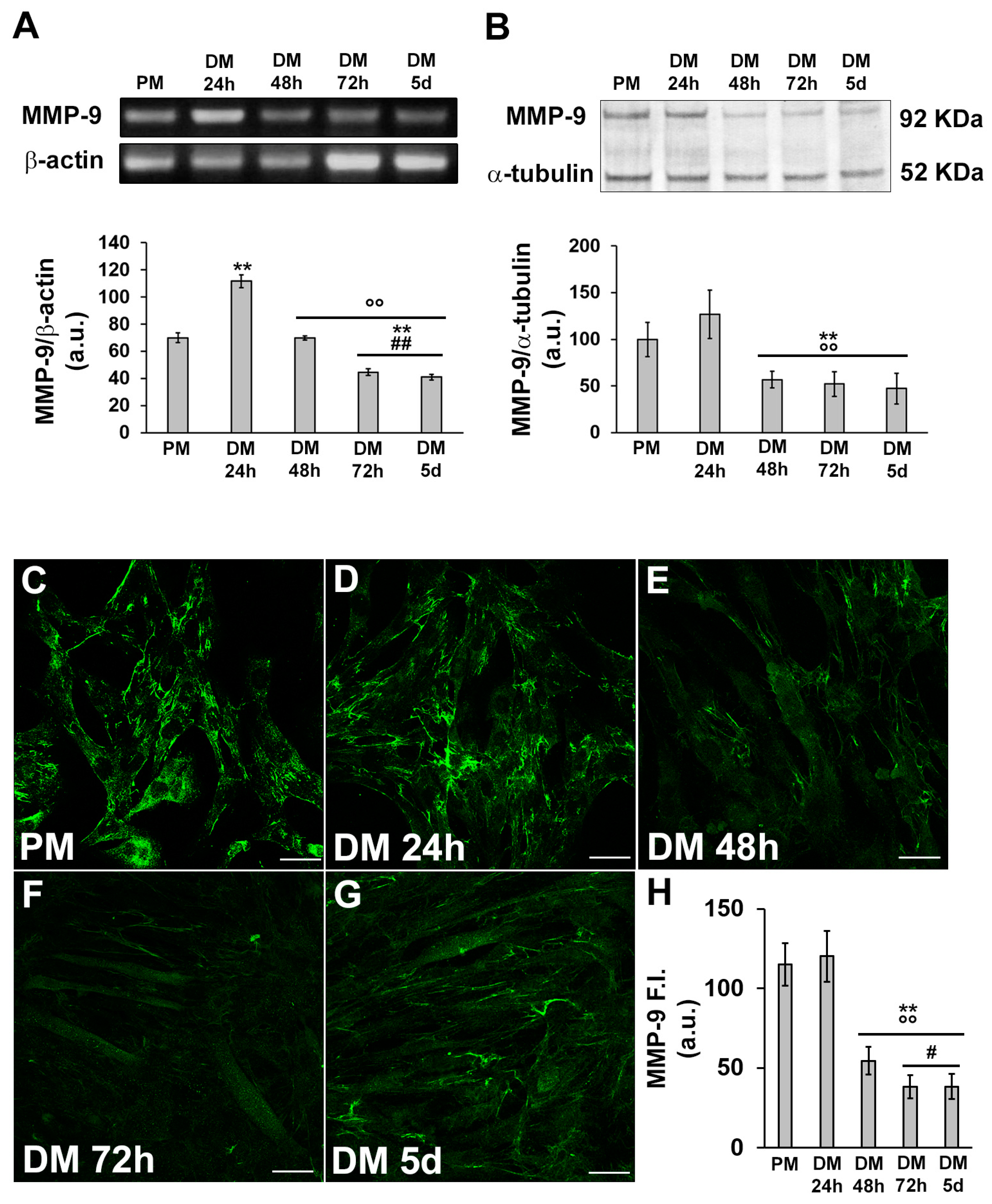 Preprints 89937 g004