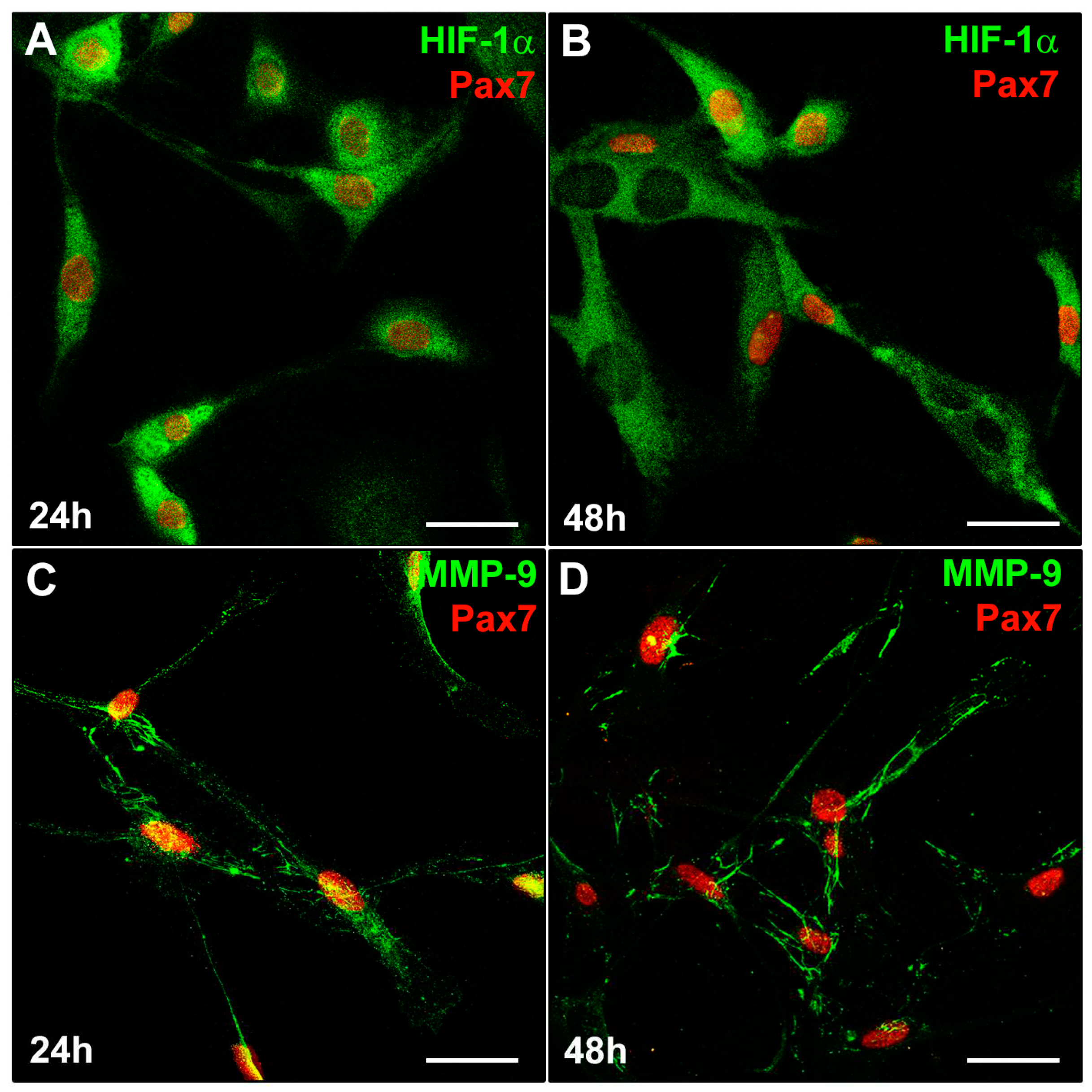 Preprints 89937 g005