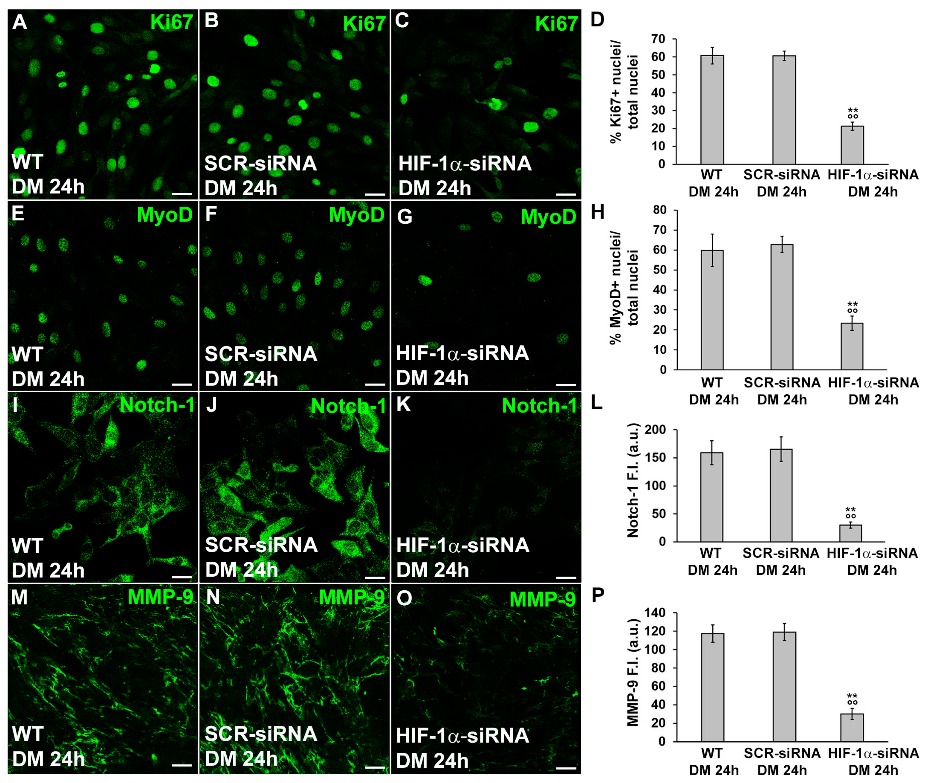 Preprints 89937 g007