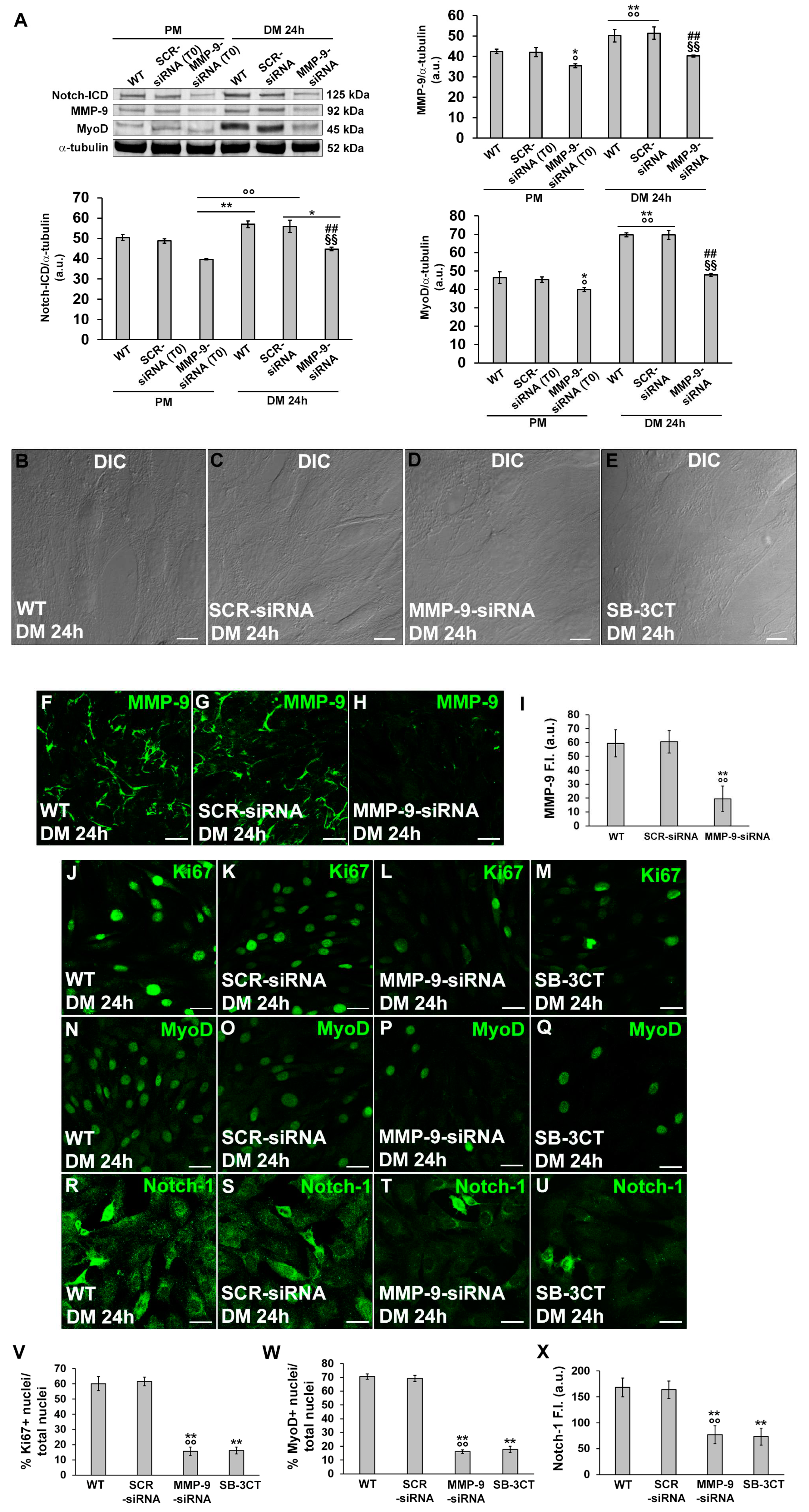 Preprints 89937 g008