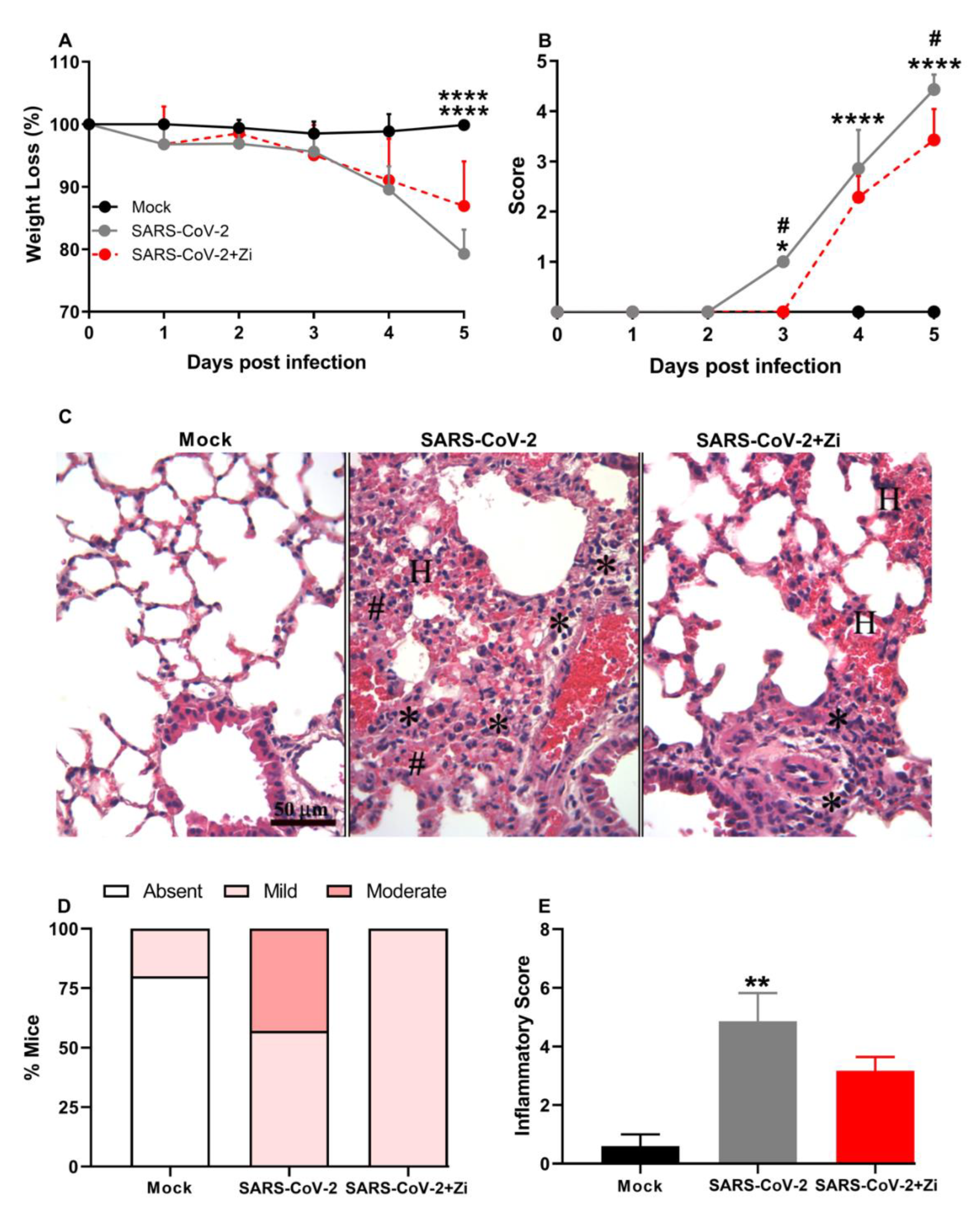 Preprints 85296 g008