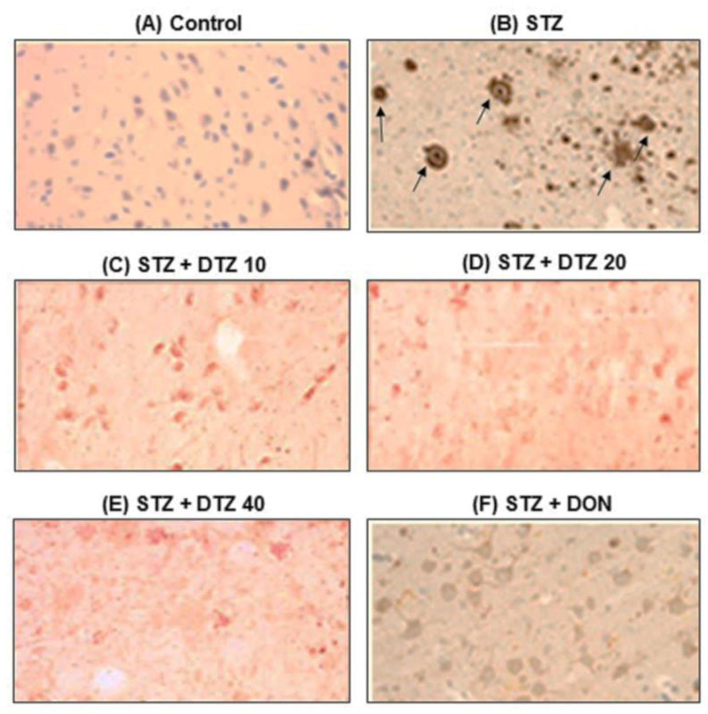 Preprints 79116 g007