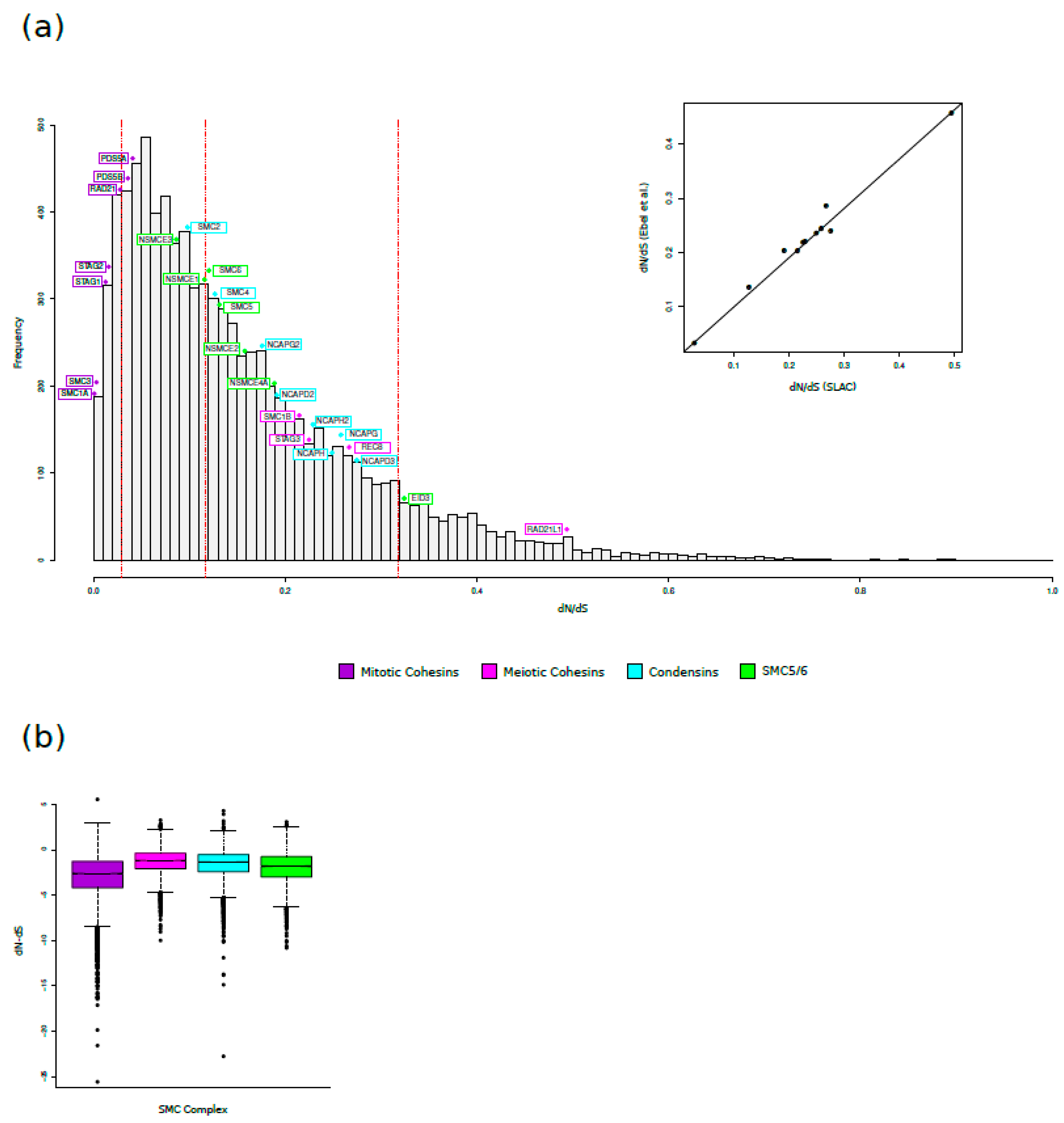 Preprints 114023 g001