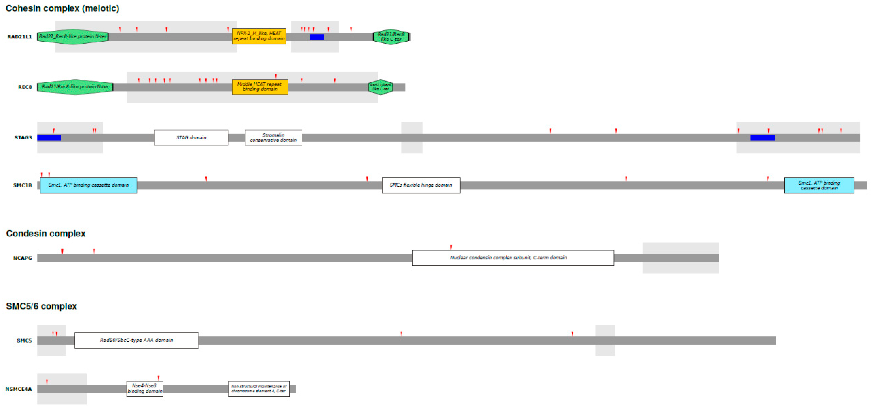 Preprints 114023 g002