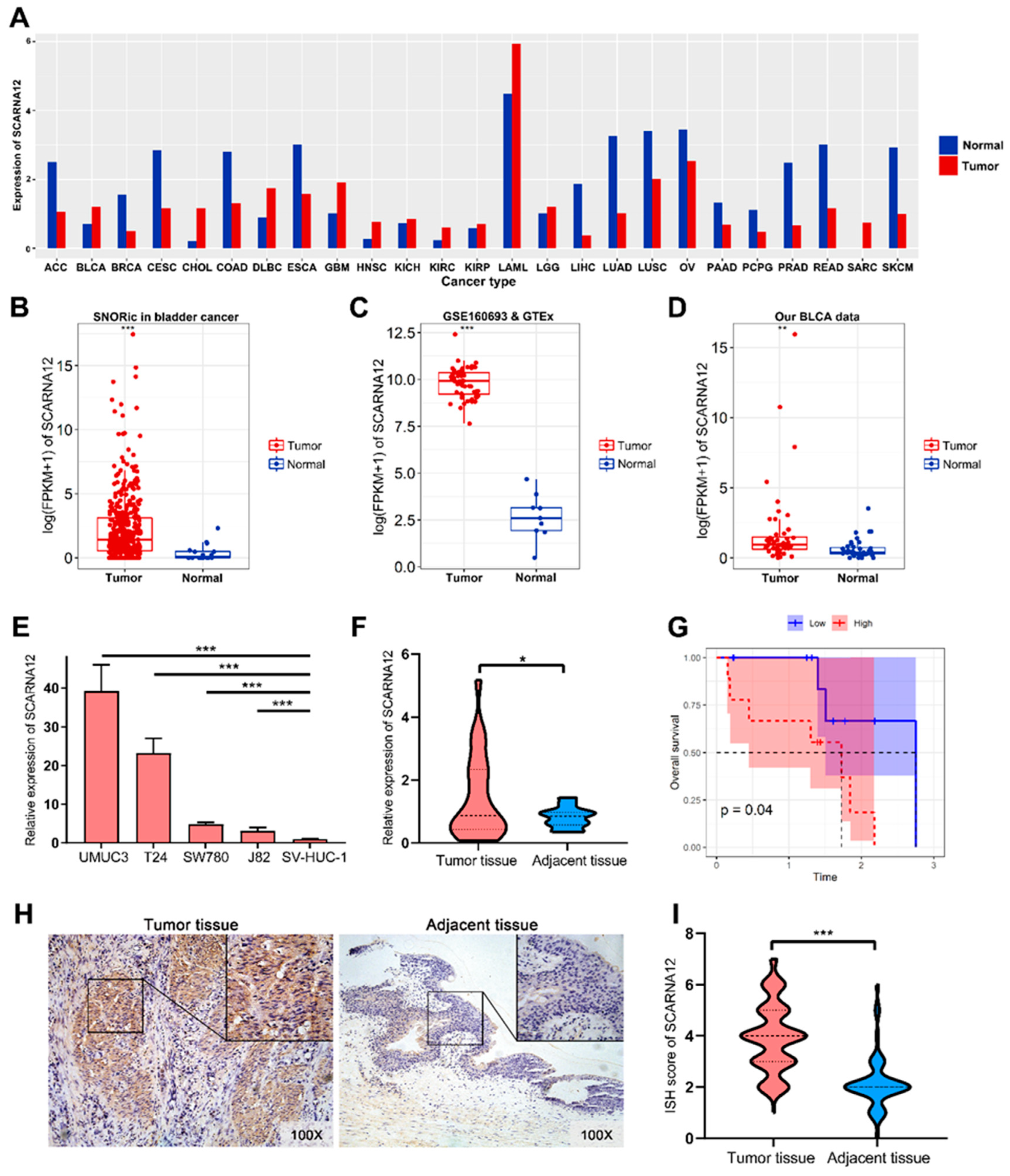 Preprints 92494 g001