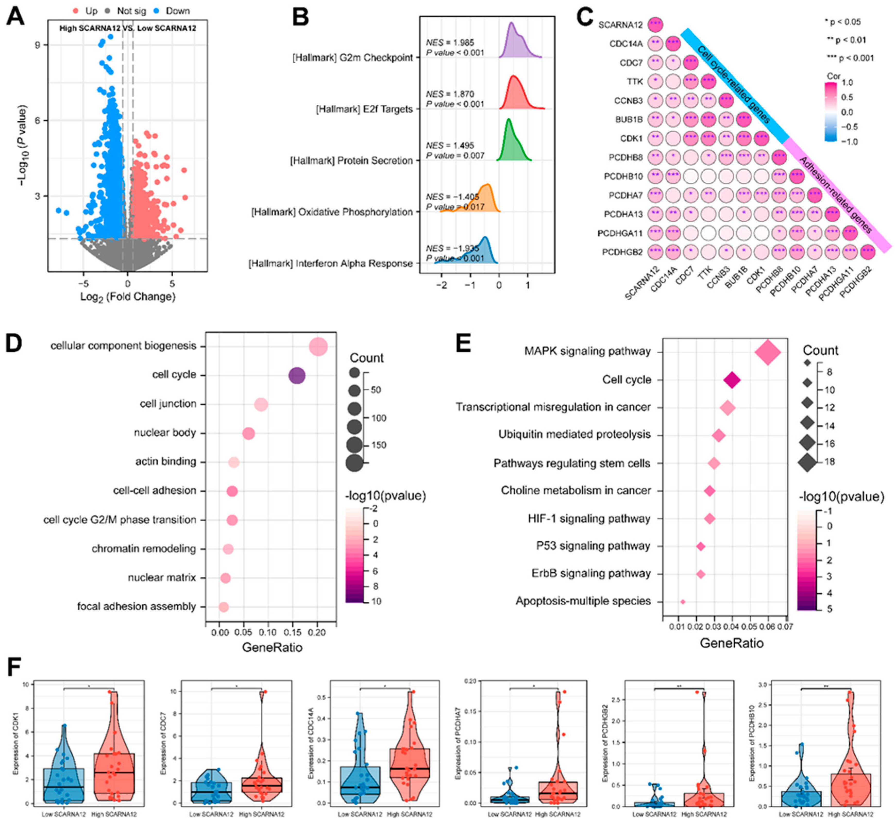 Preprints 92494 g002