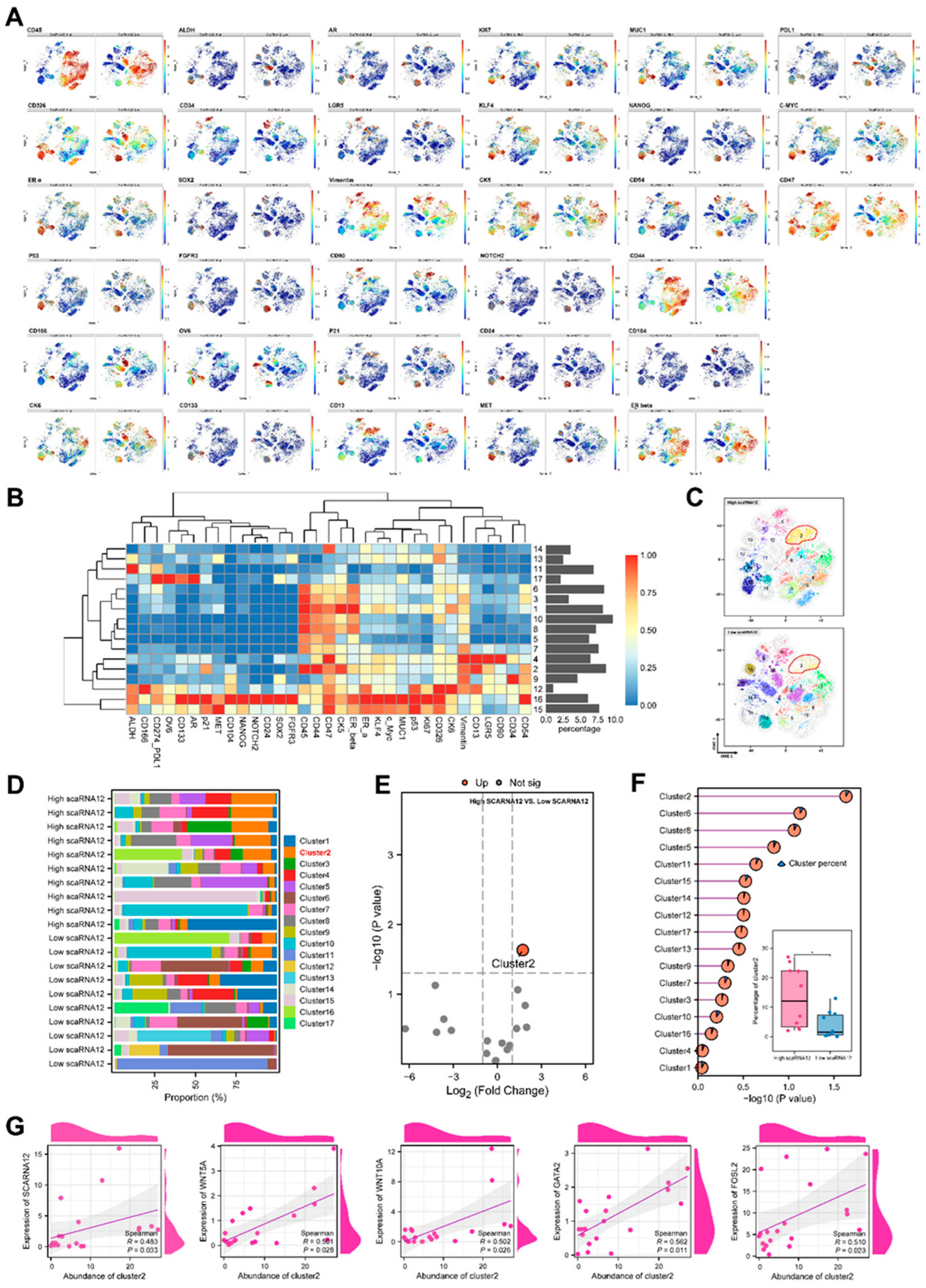 Preprints 92494 g003