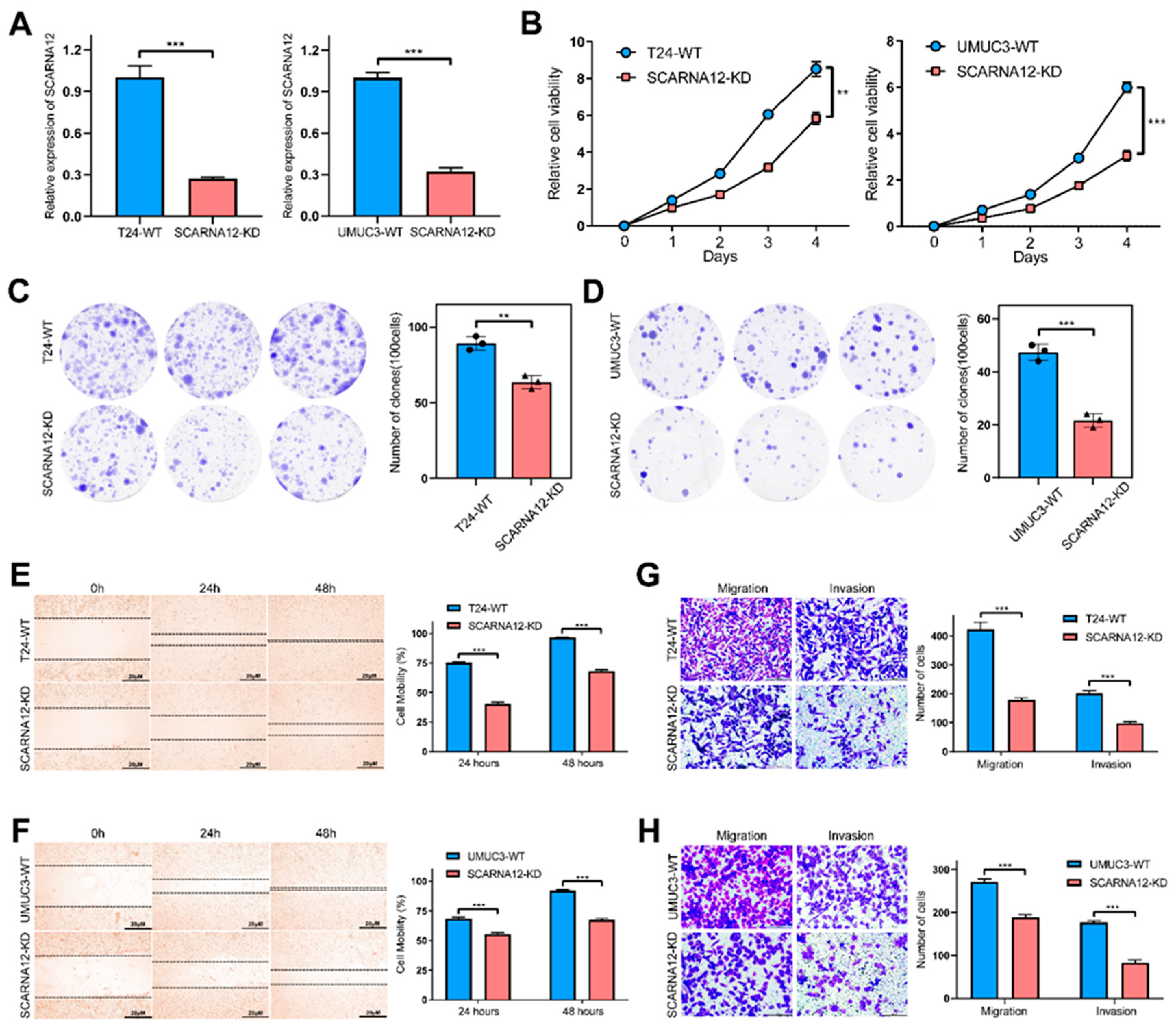 Preprints 92494 g004