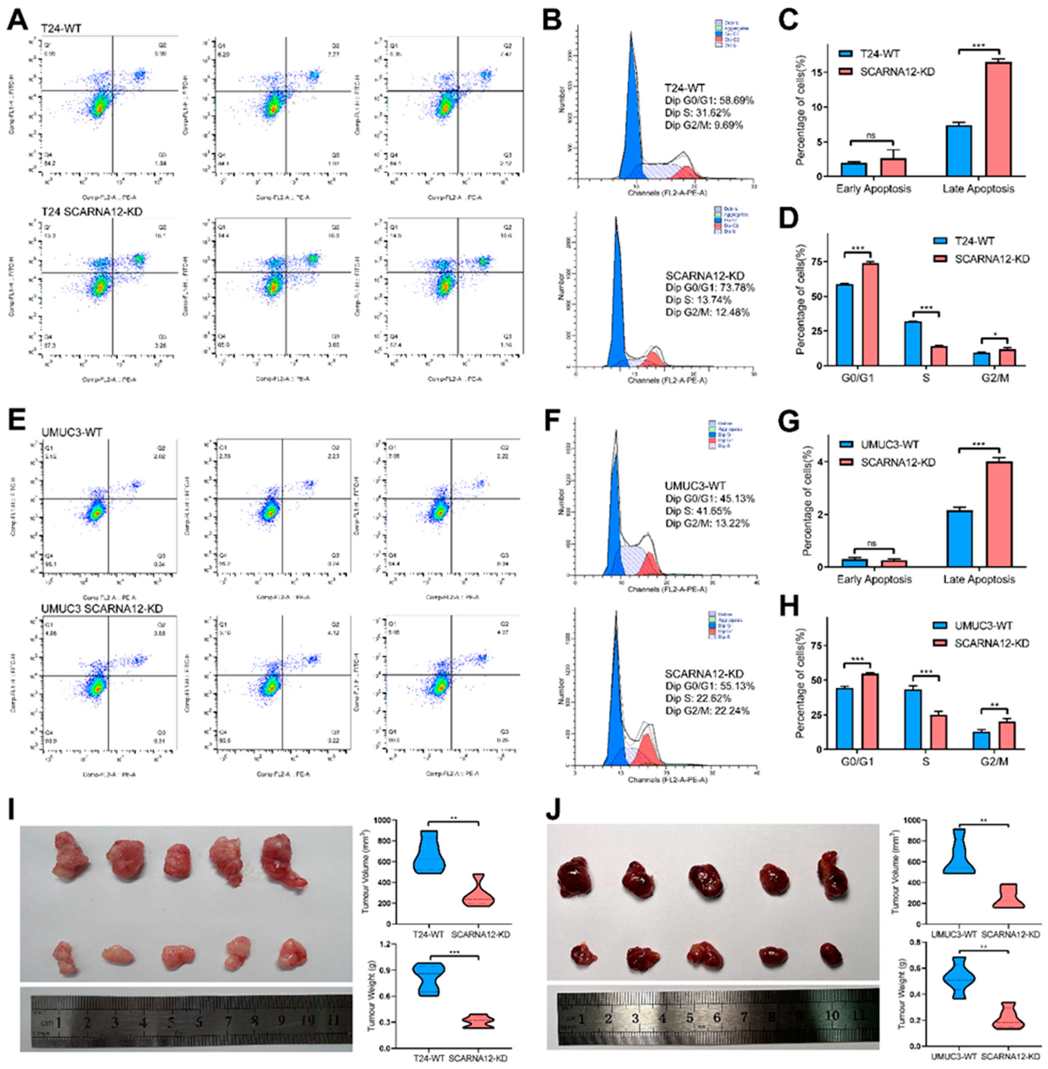 Preprints 92494 g005